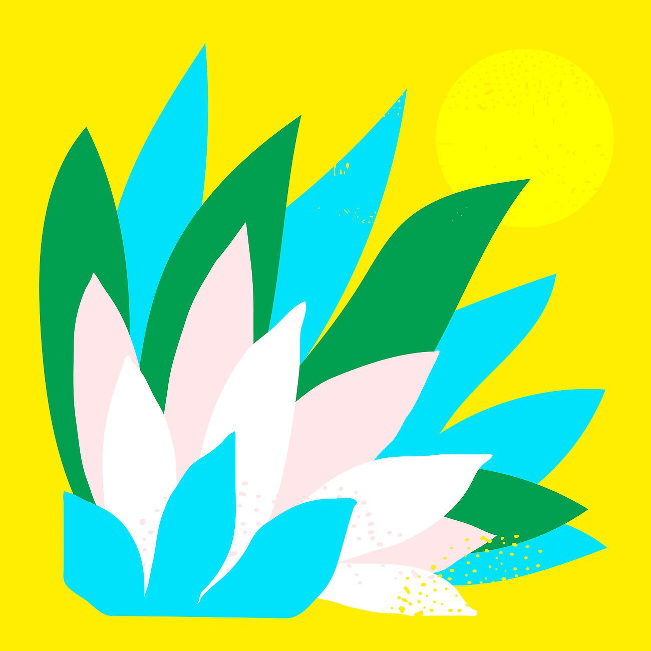 Релиз Palau