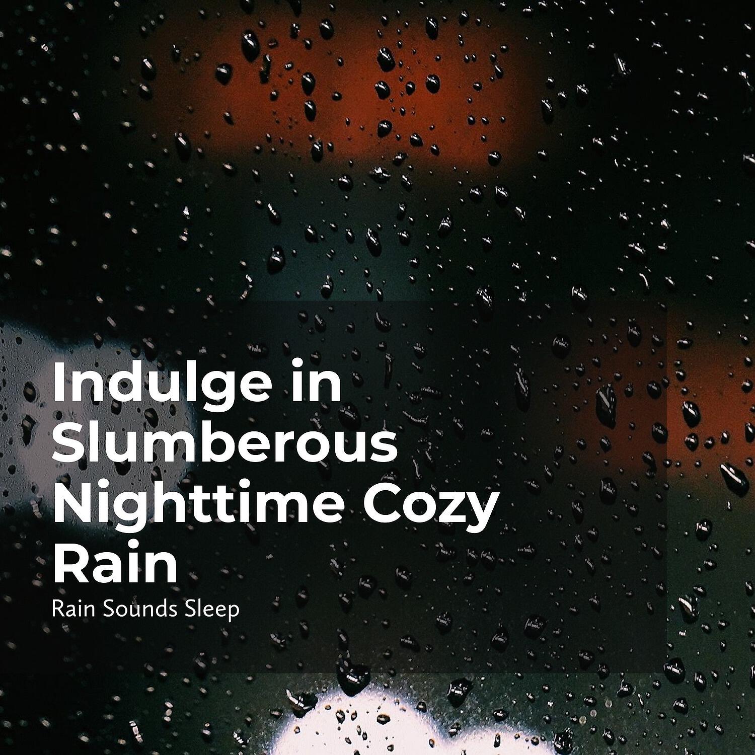 Релиз Indulge in Slumberous Nighttime Cozy Rain