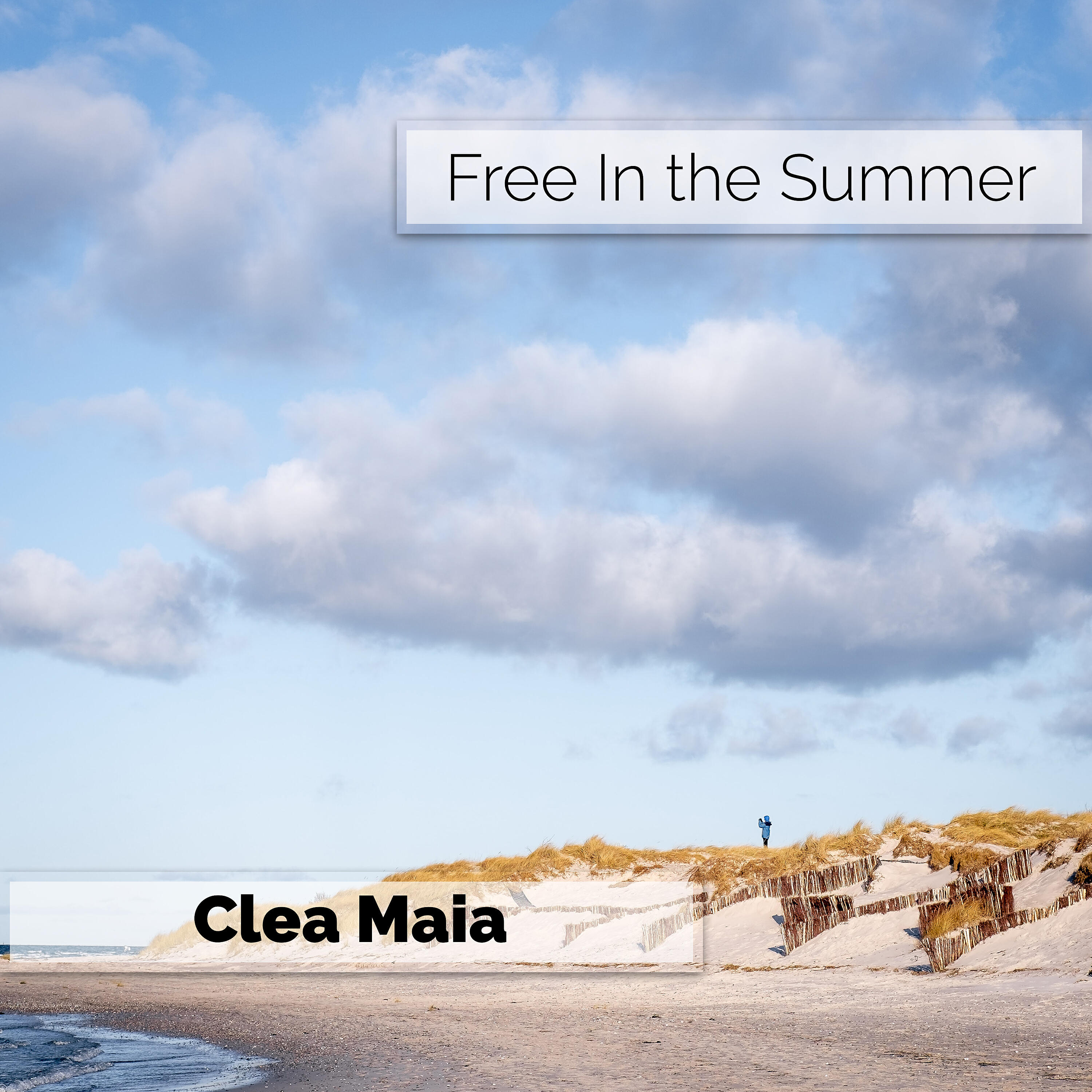 Релиз Free In the Summer