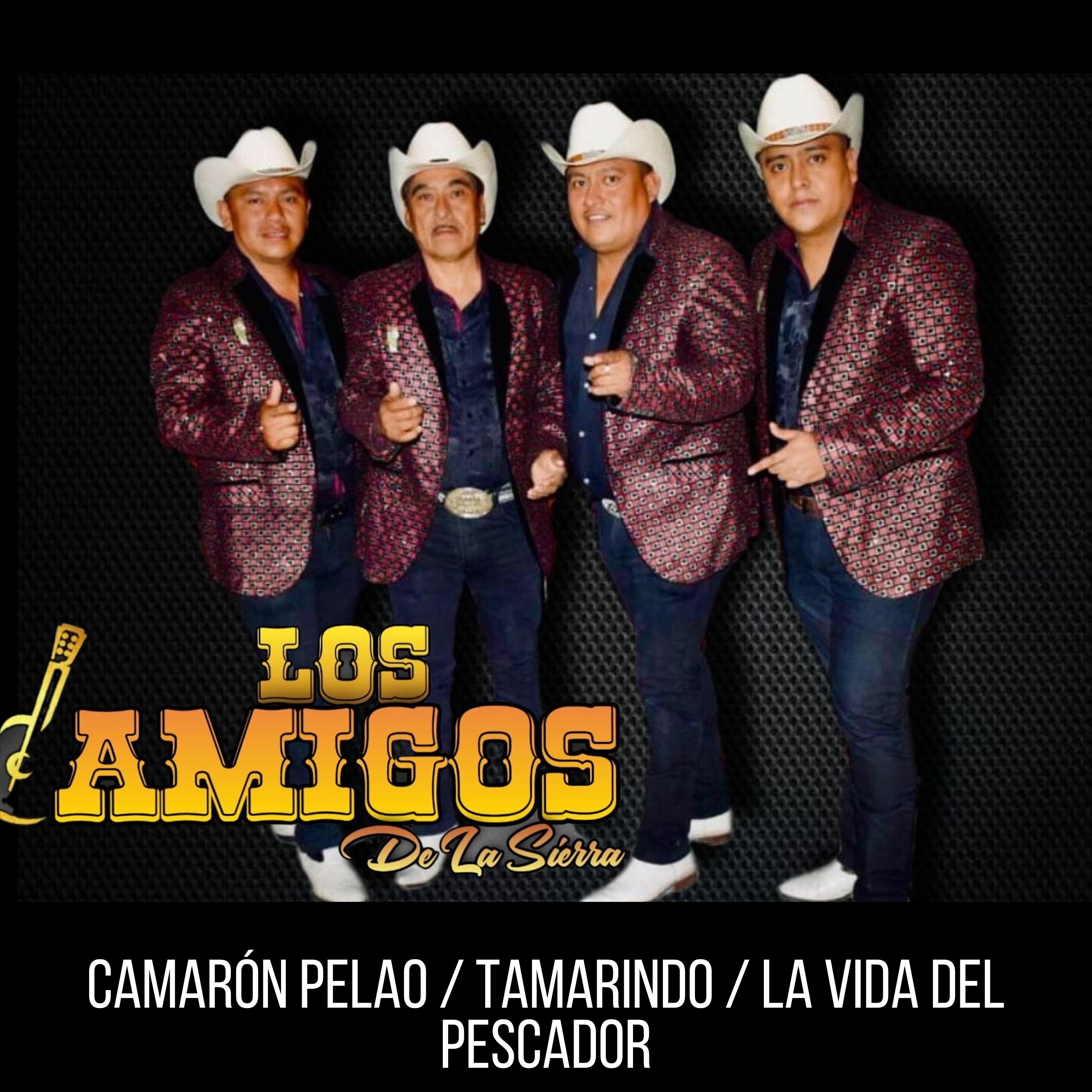 Релиз Camarón Pelao / Tamarindo / La Vida del Pescador