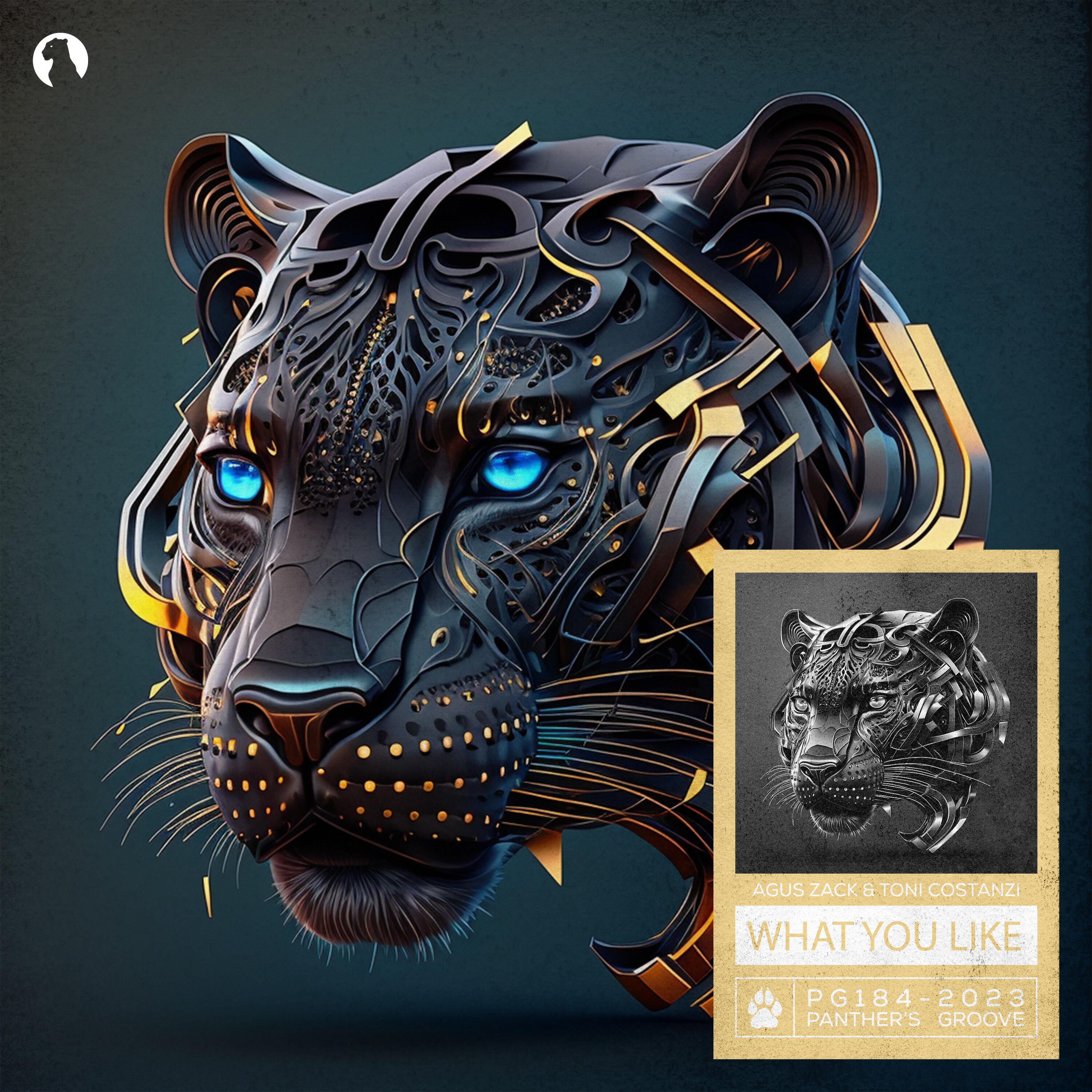 Релиз What You Like