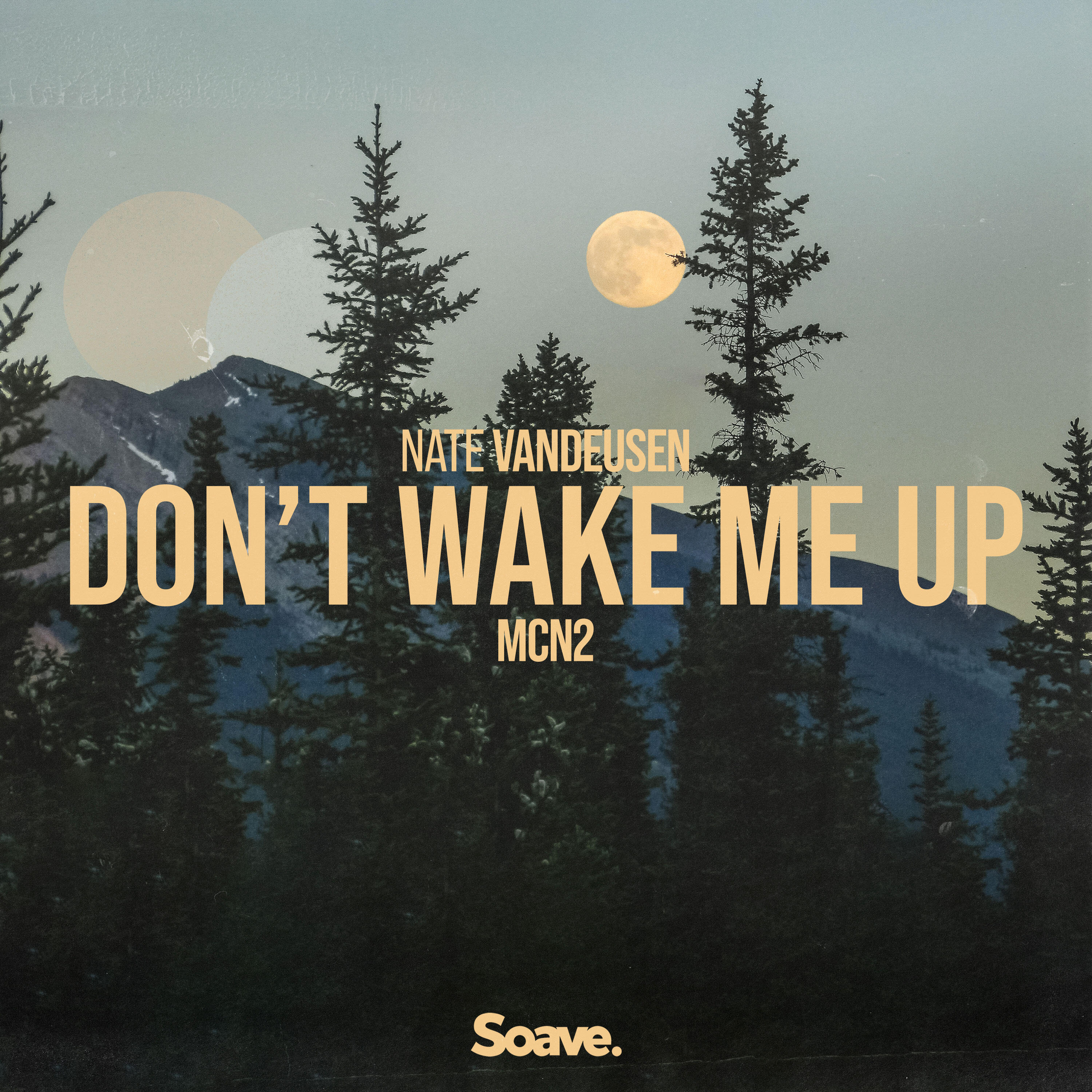 Релиз Don't Wake Me Up