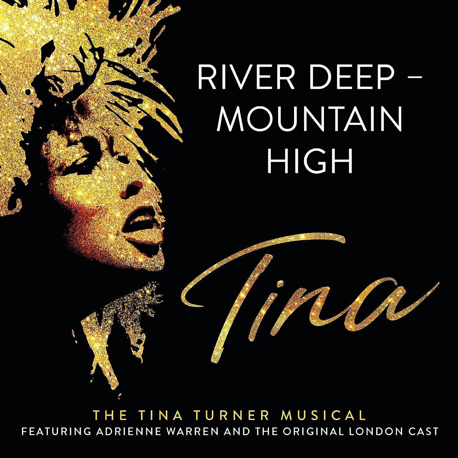 Tina: The Tina Turner Musical Original London Company