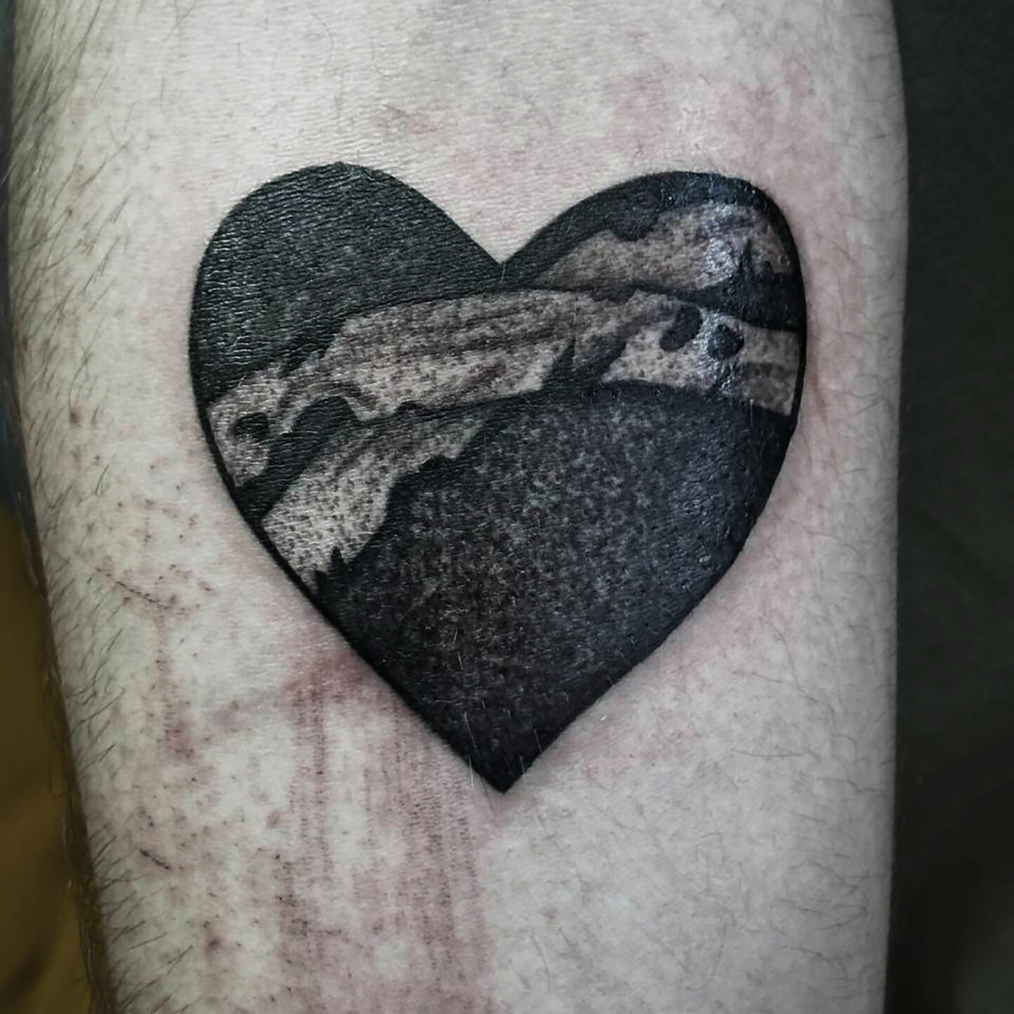 Релиз Верни