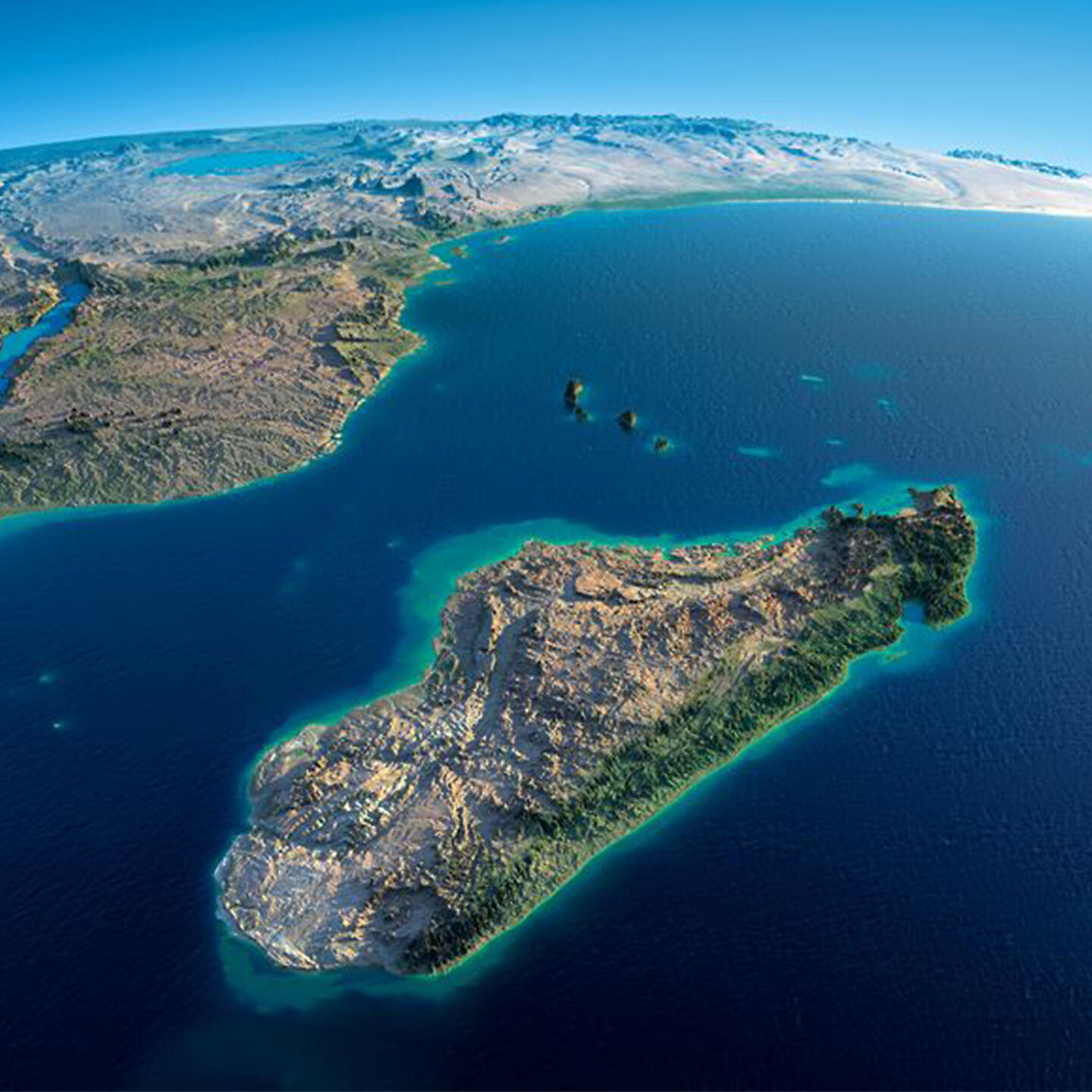 Релиз Destination Madagascar