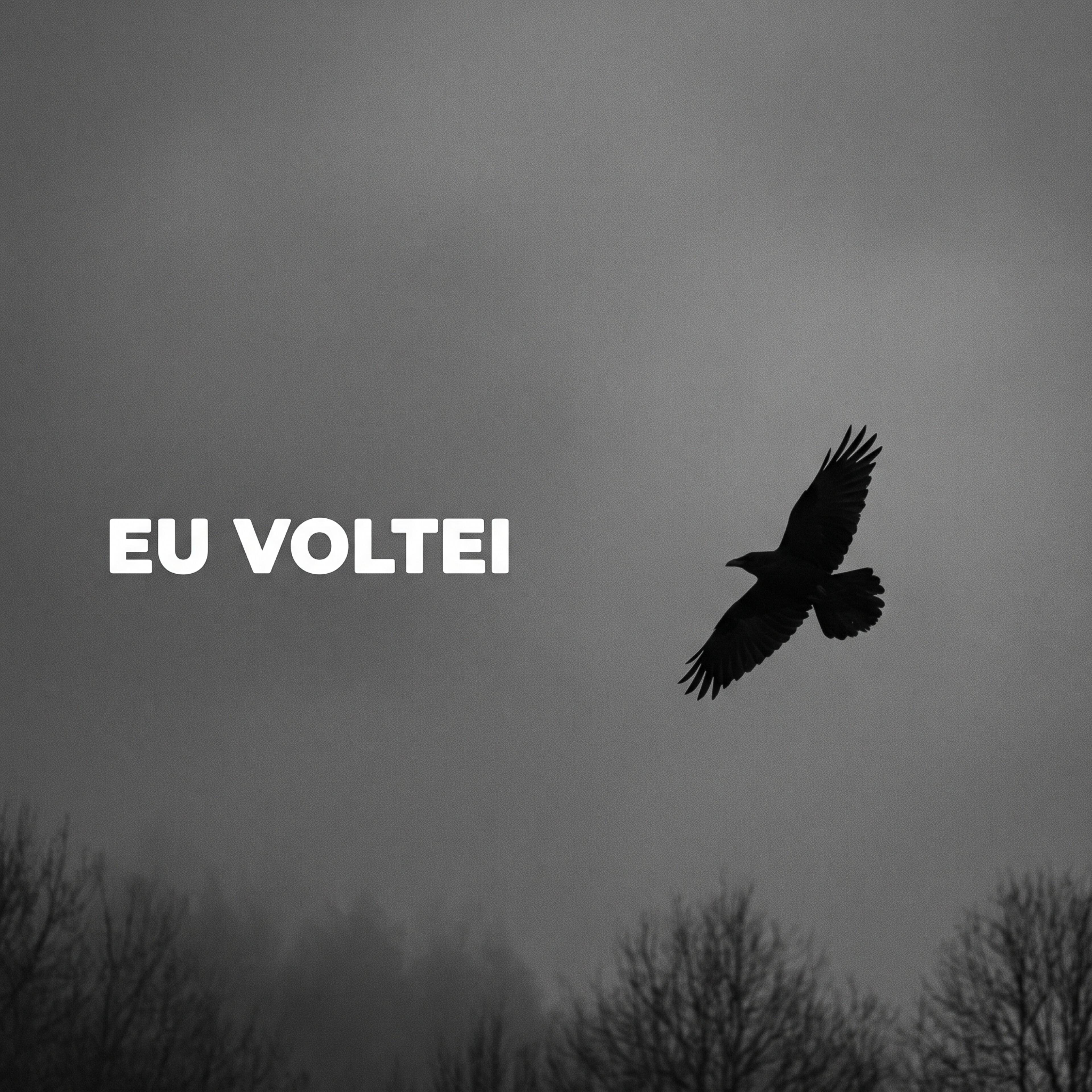 V de Vingança
