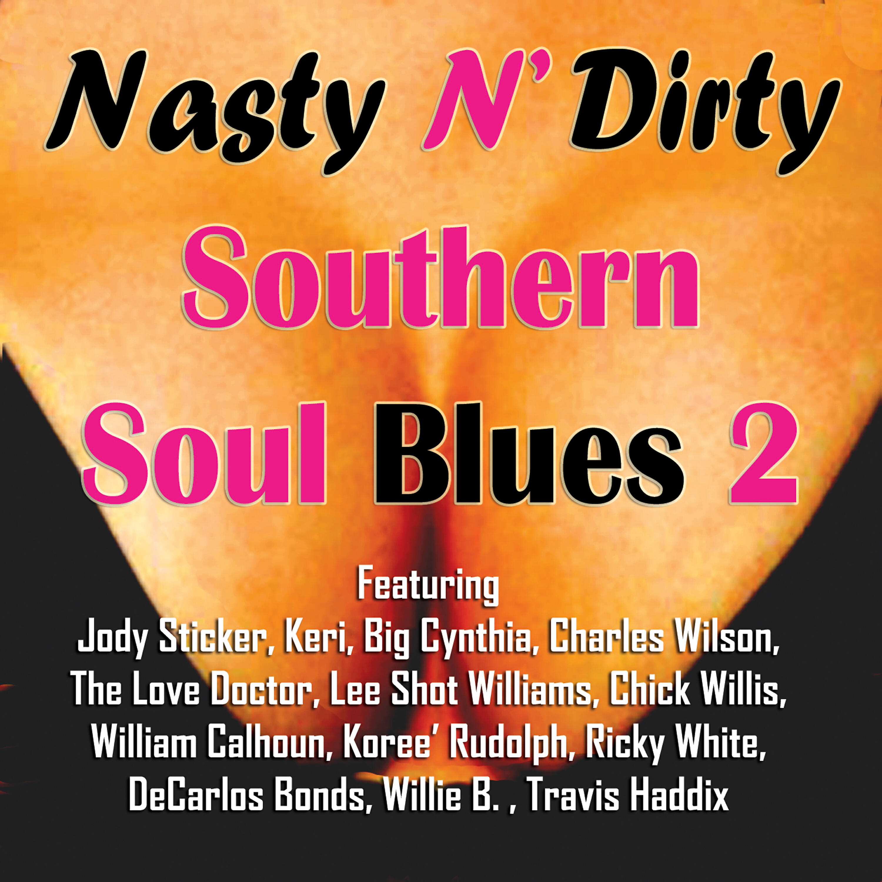 Постер альбома Nasty n' Dirty Southern Soul Blues 2