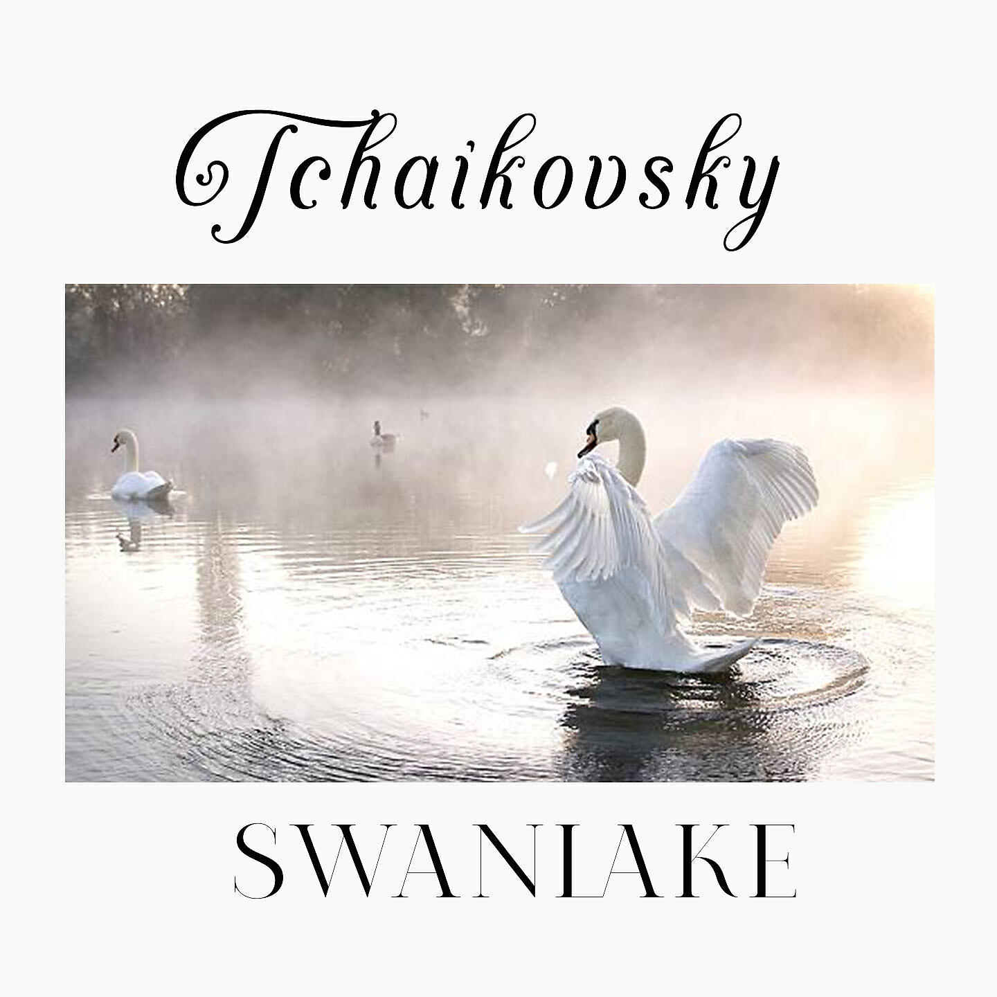 Релиз Tchaikovsky, Swanlake