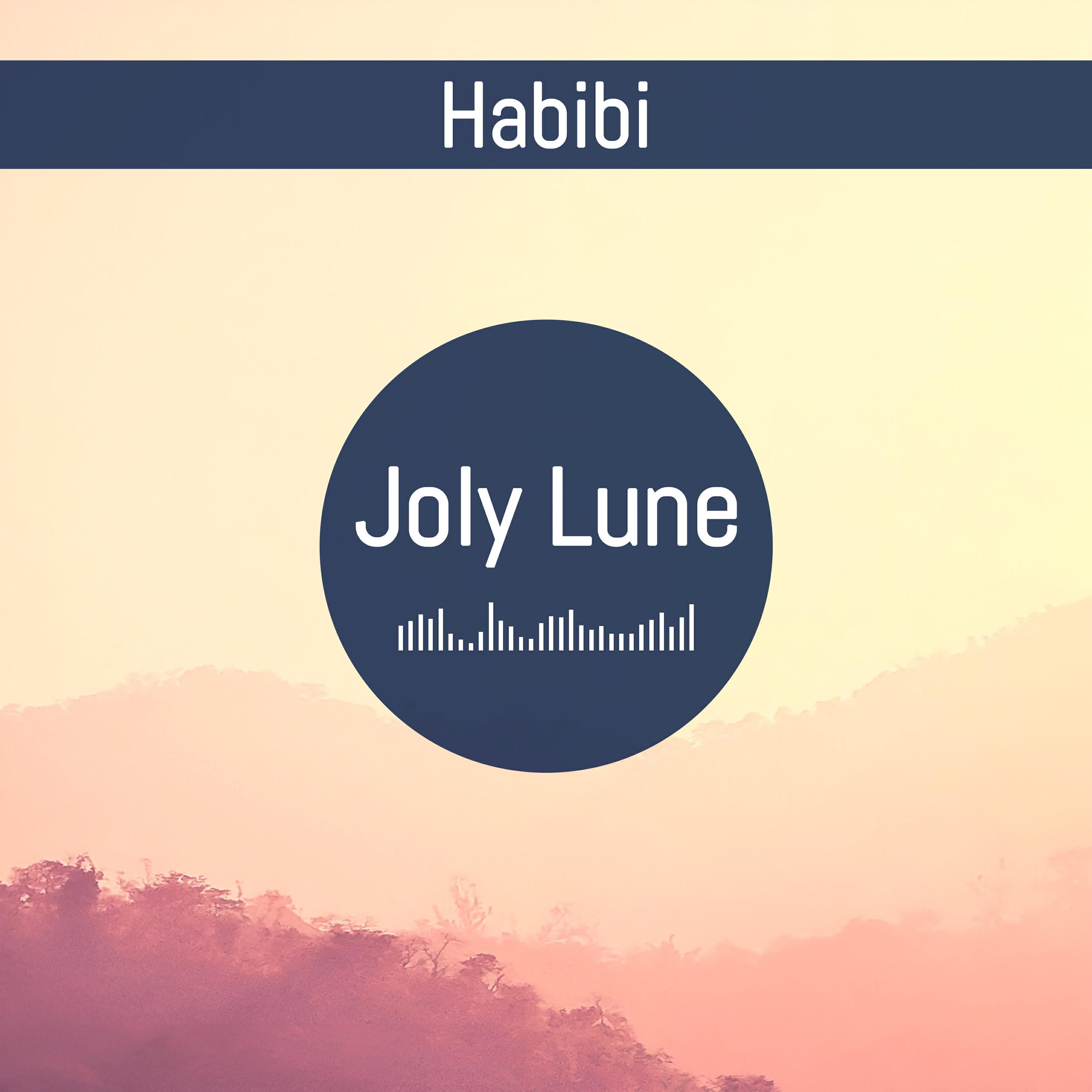 Релиз Habibi
