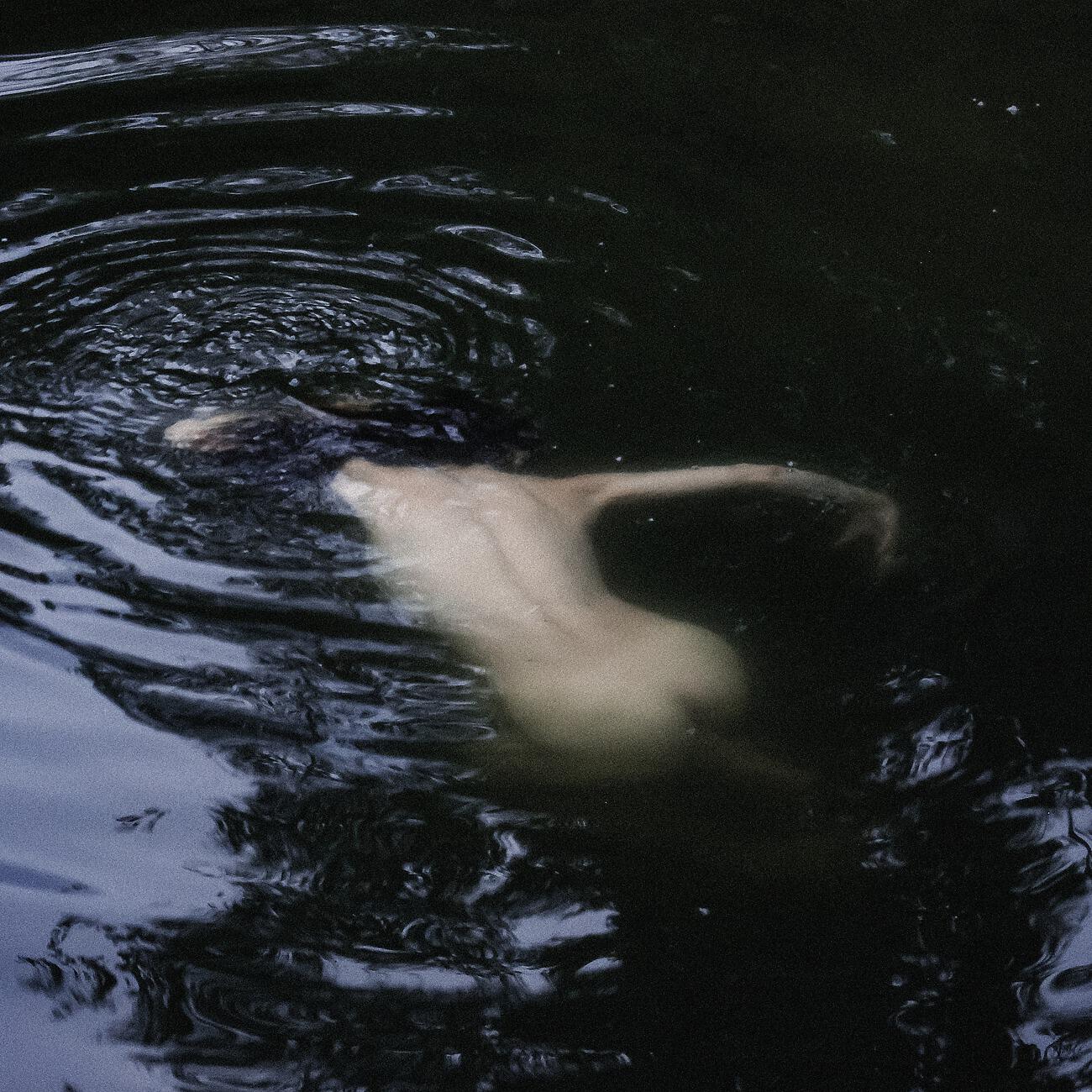Релиз Bad Encounters EP