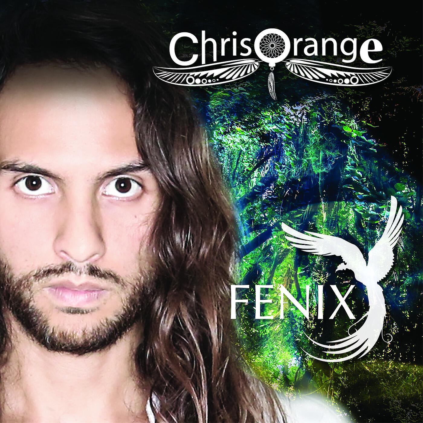 Релиз Fenix