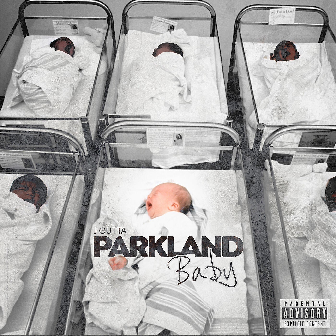 Релиз Parkland Baby
