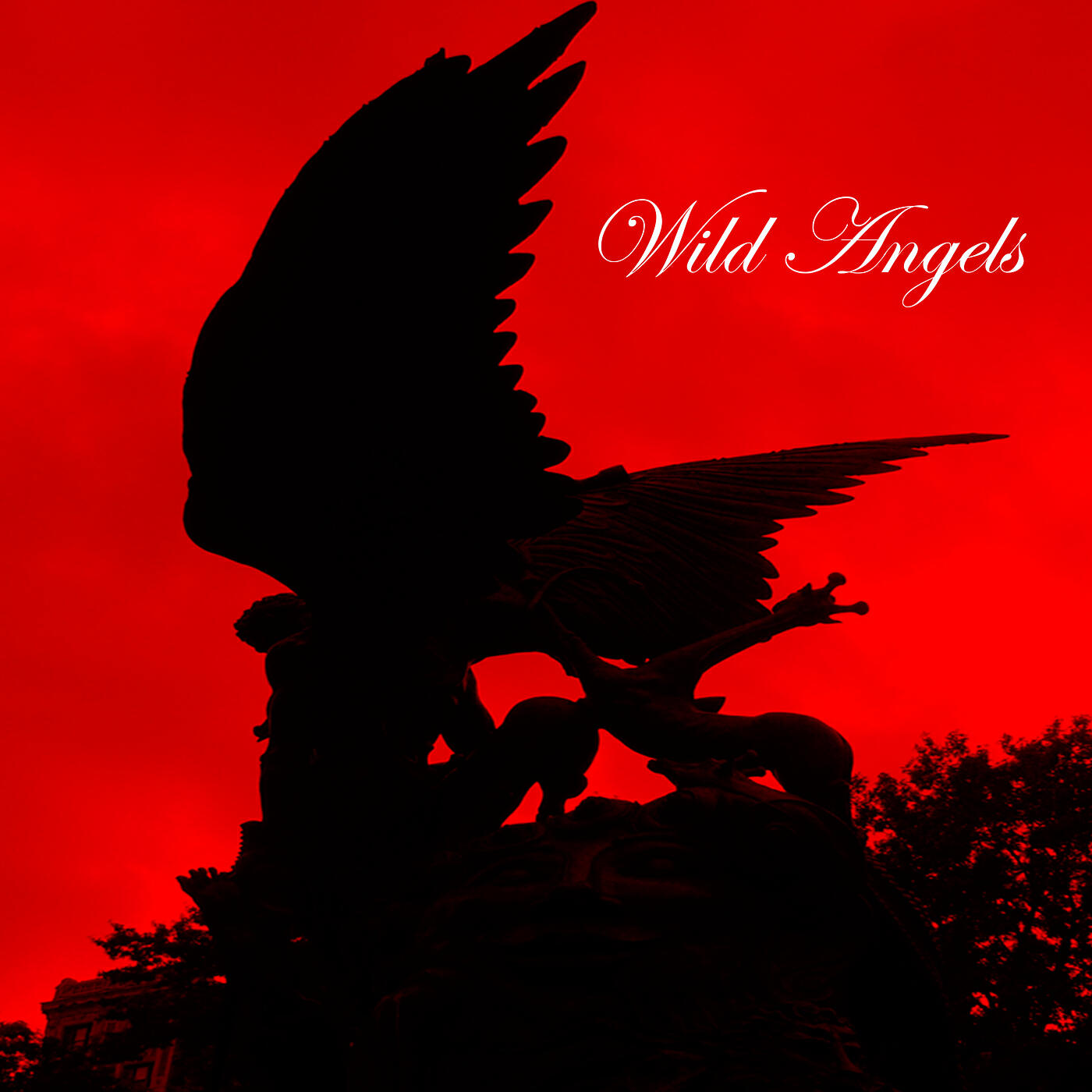 Релиз Wild Angels
