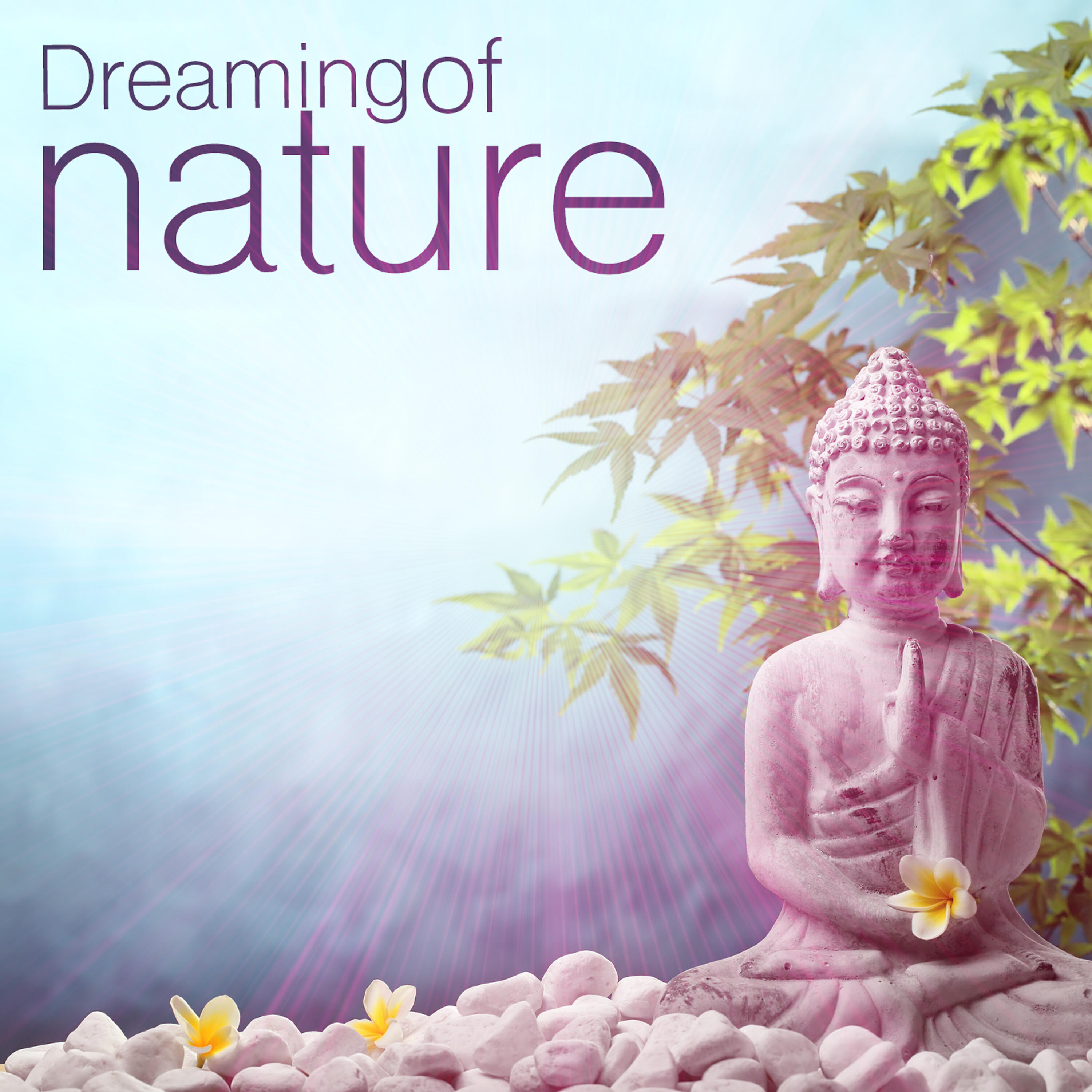 Релиз Dreaming of Nature