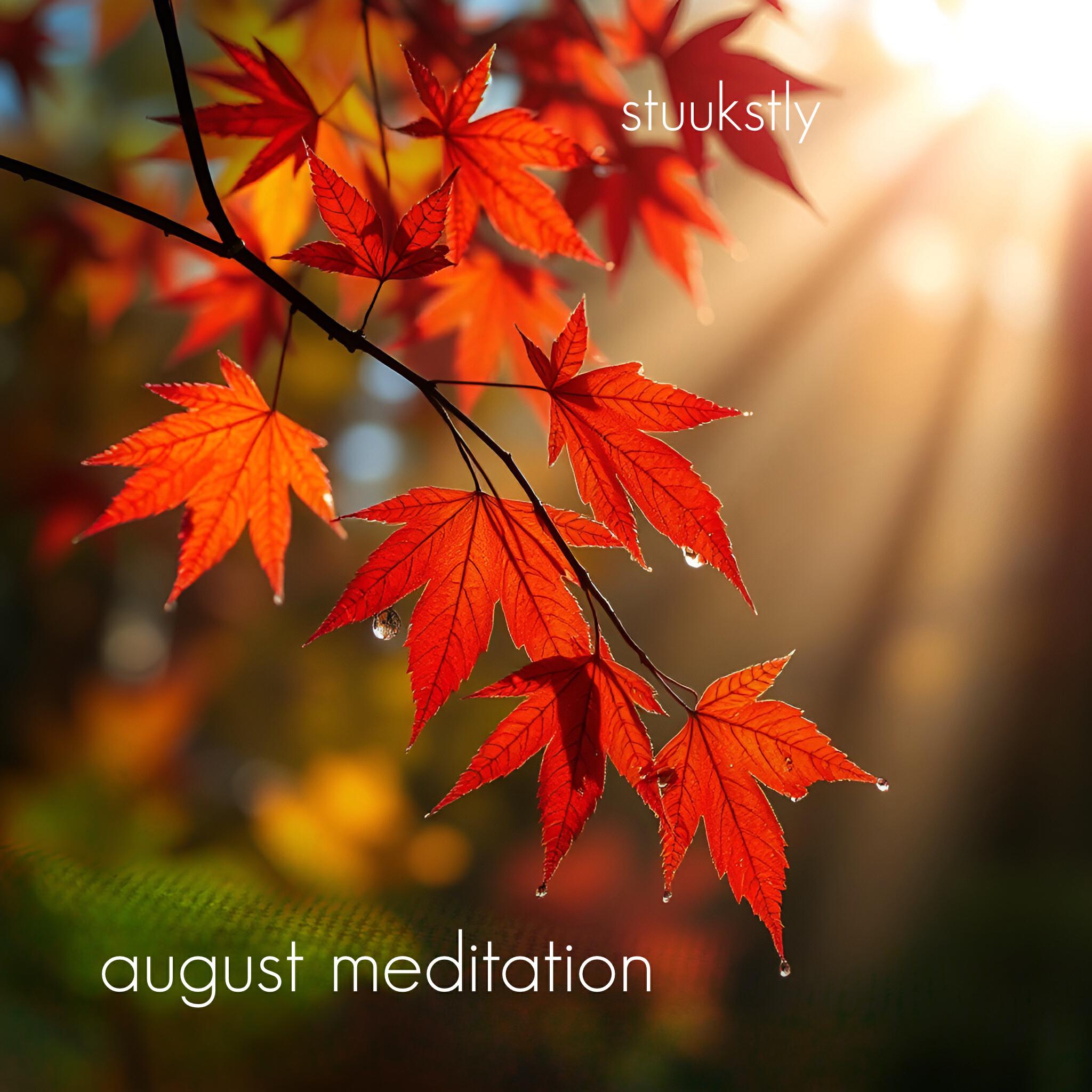 Релиз August meditation
