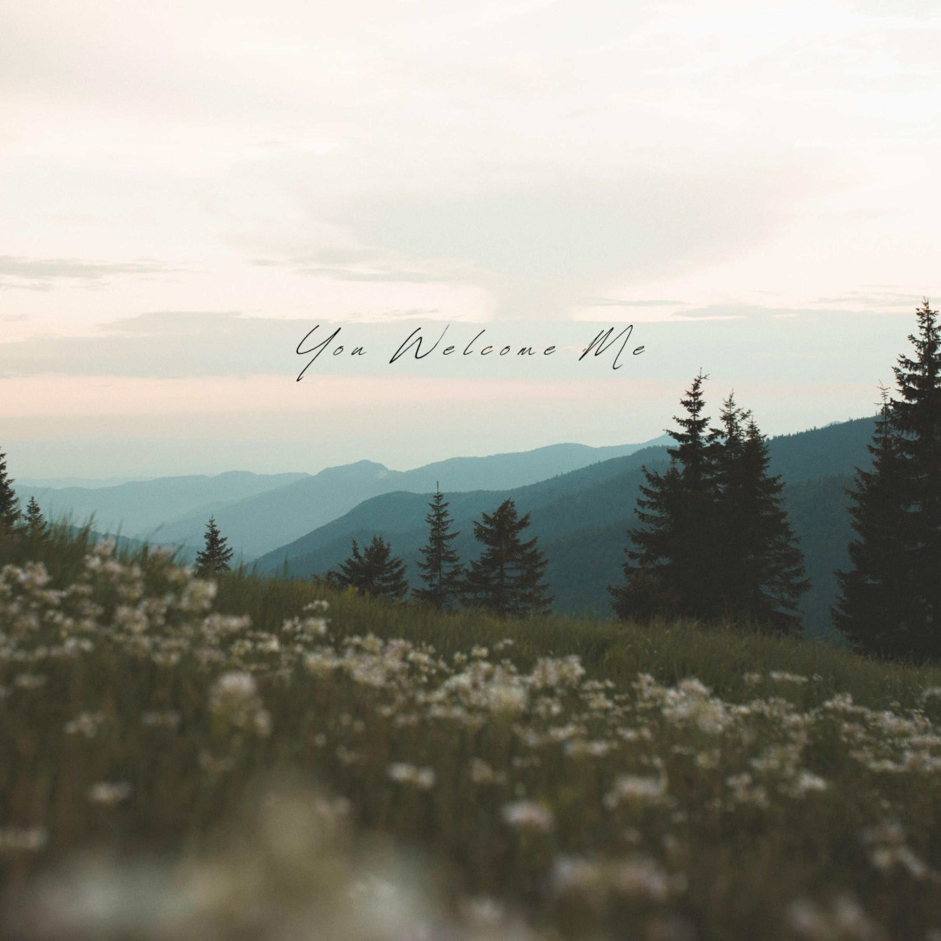 Релиз You Welcome Me (Instrumental)