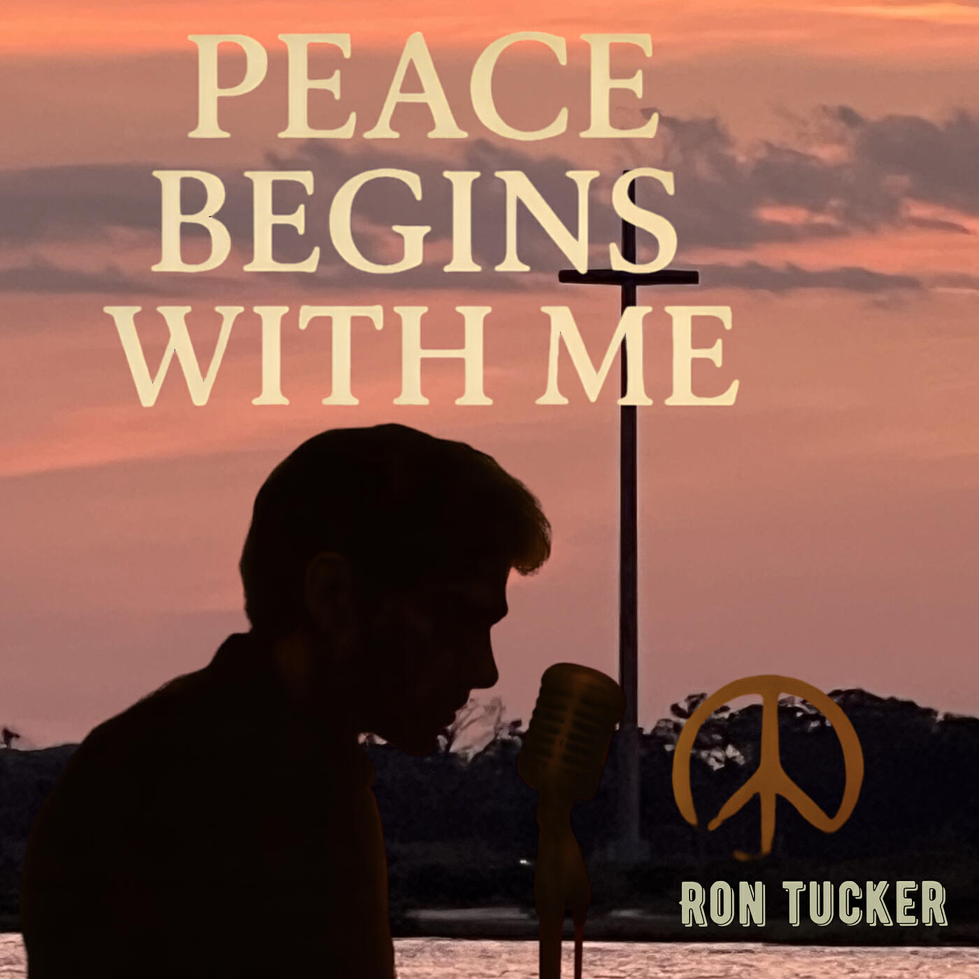 Релиз Peace Begins With Me
