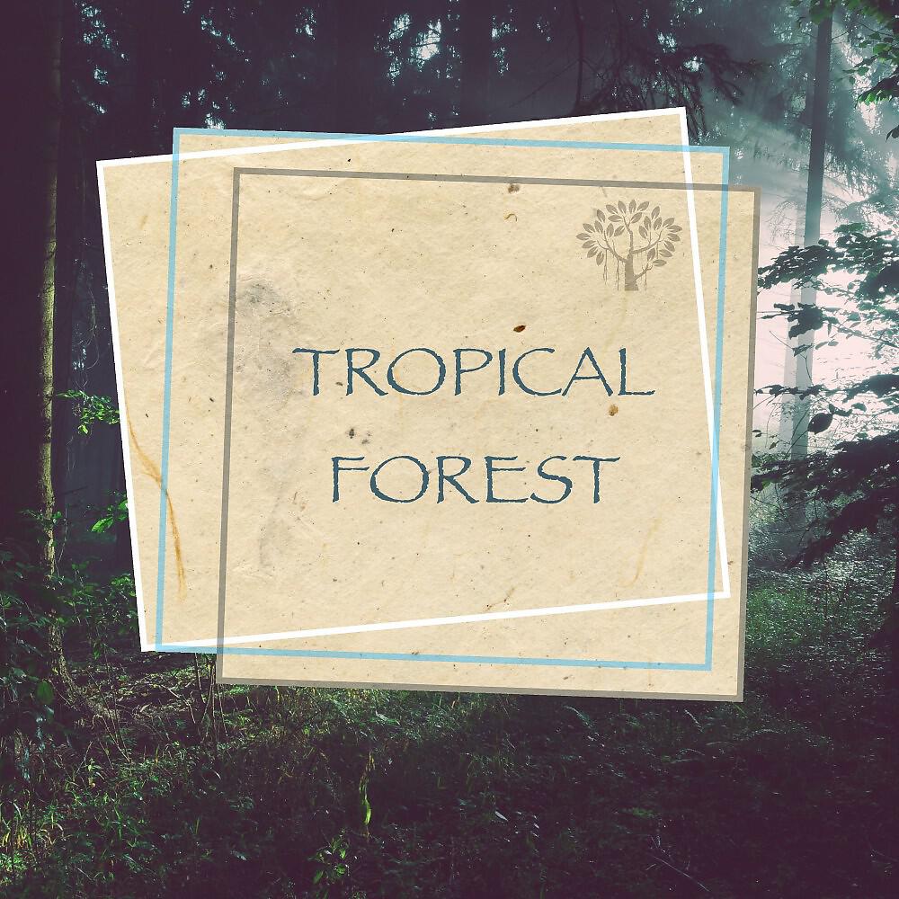 Релиз Tropical Forest