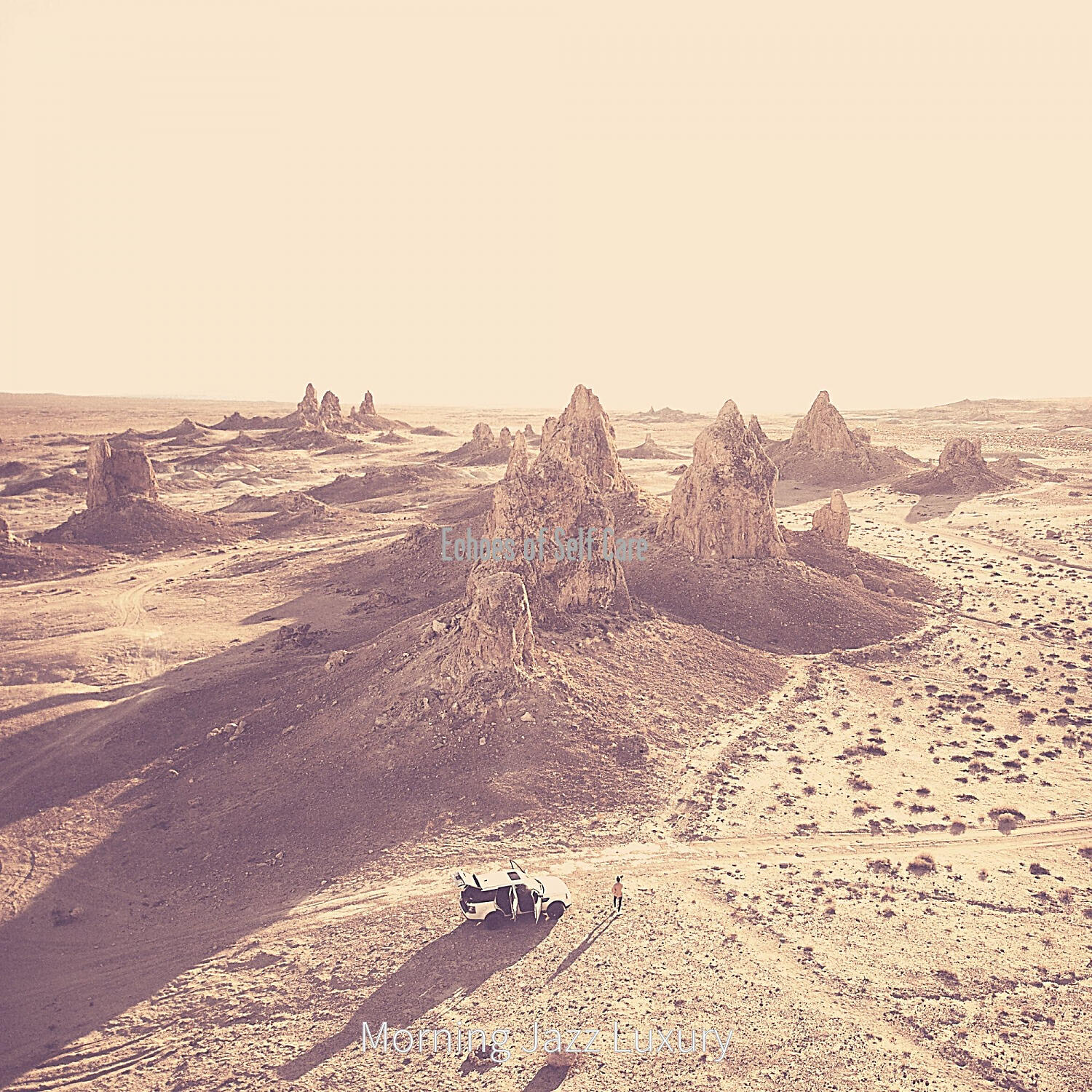 Релиз Echoes of Self Care
