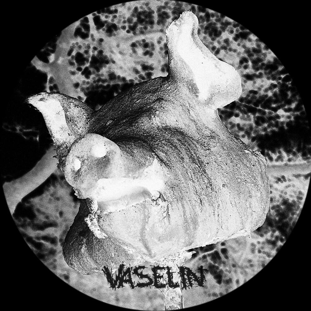 Vaselin