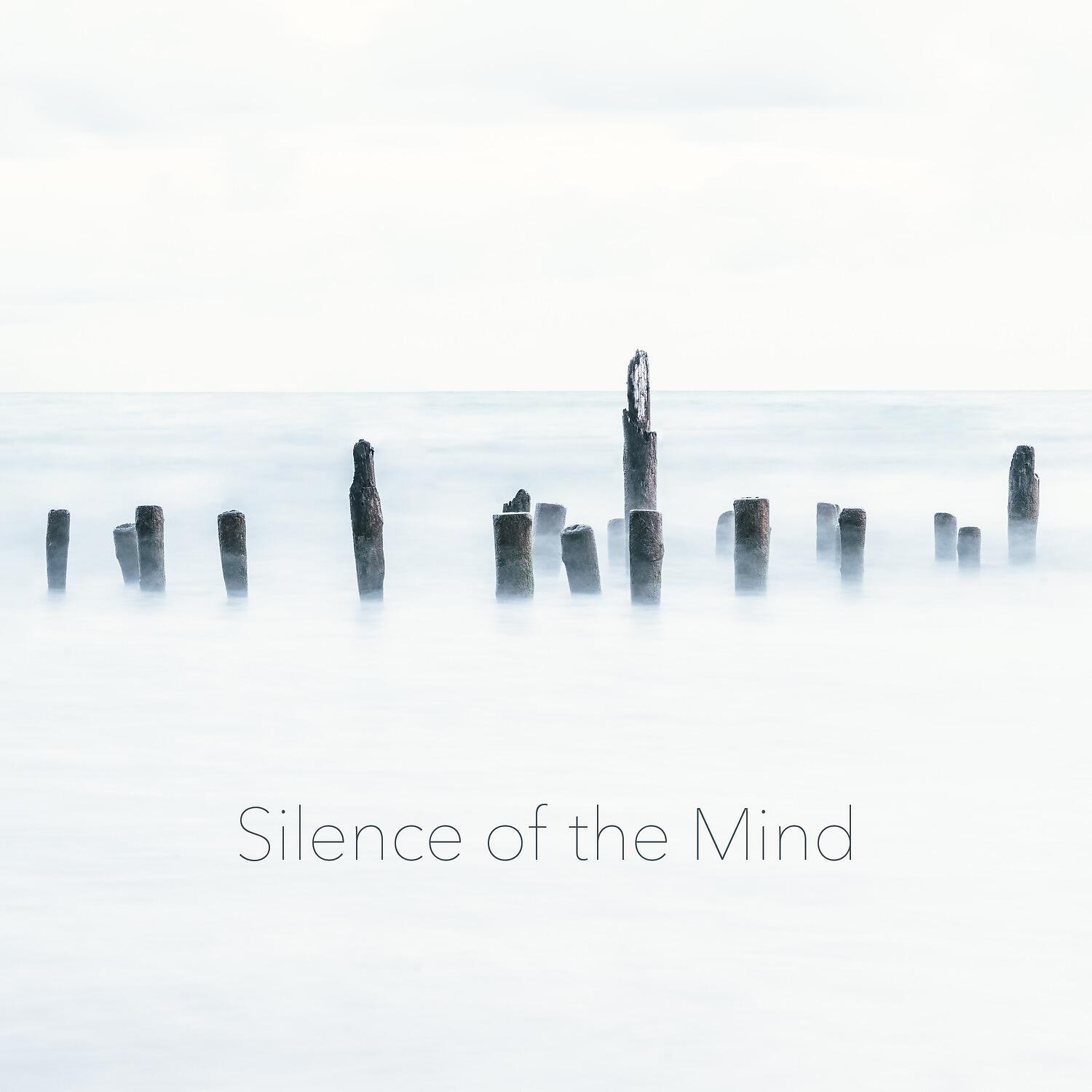 Релиз Silence of the Mind