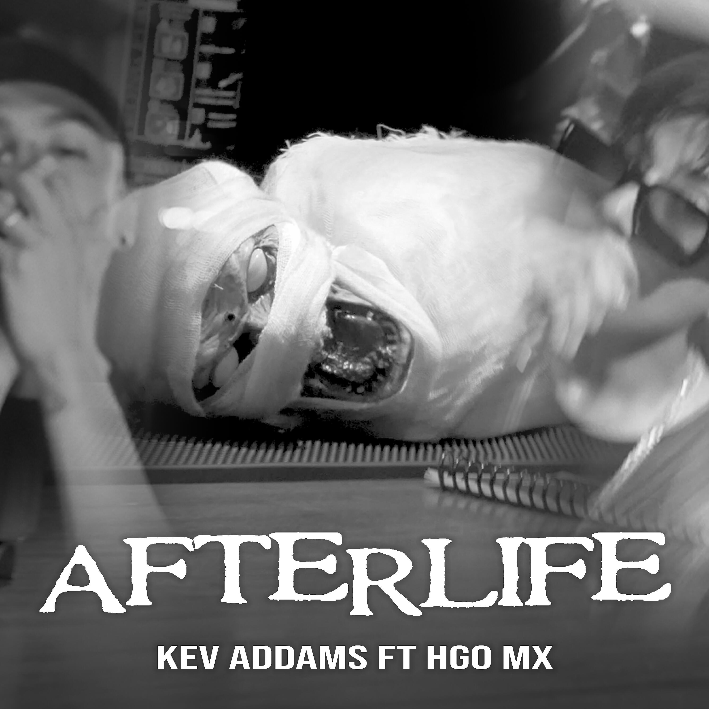 Релиз Afterlife