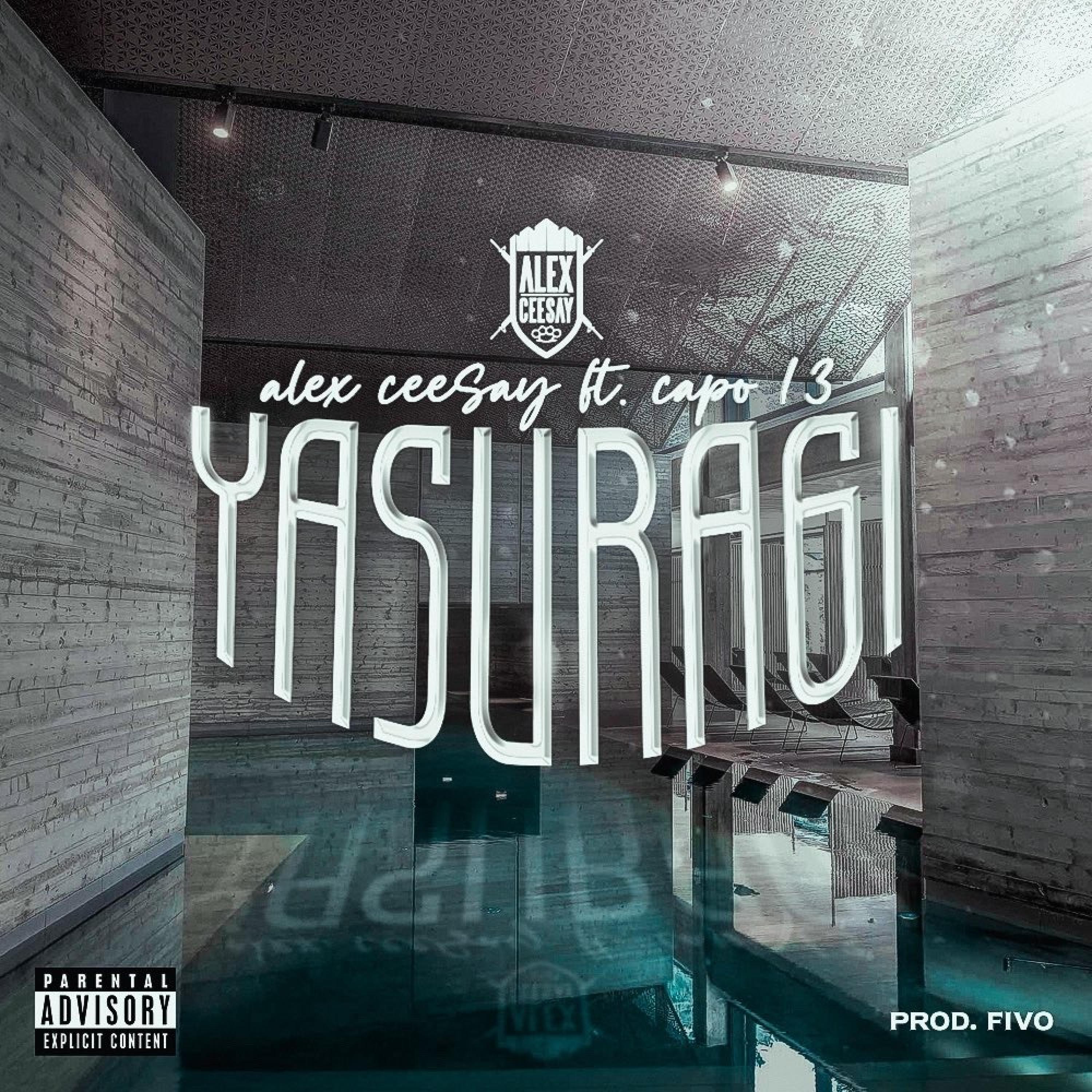 Релиз YASURAGI