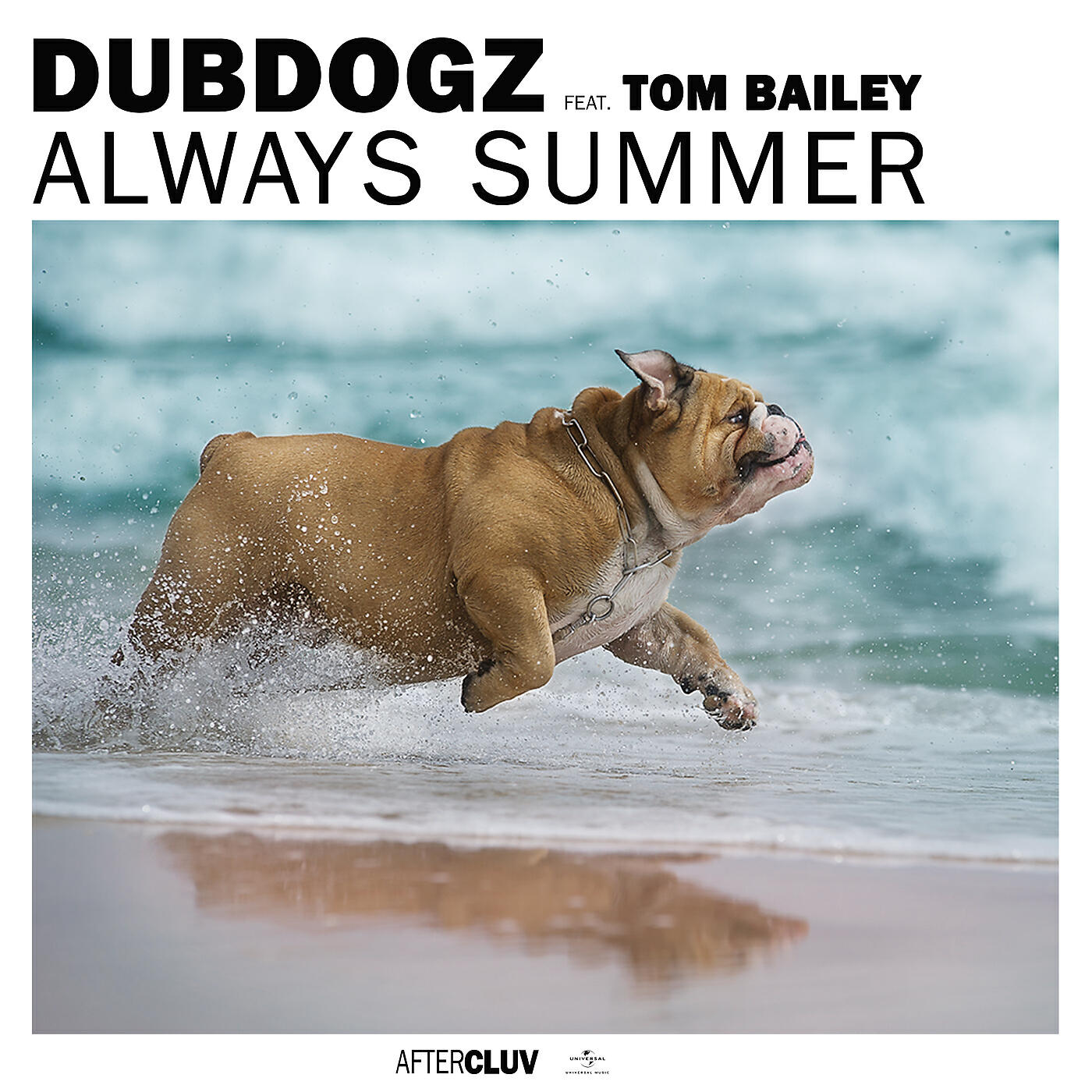 Релиз Always Summer