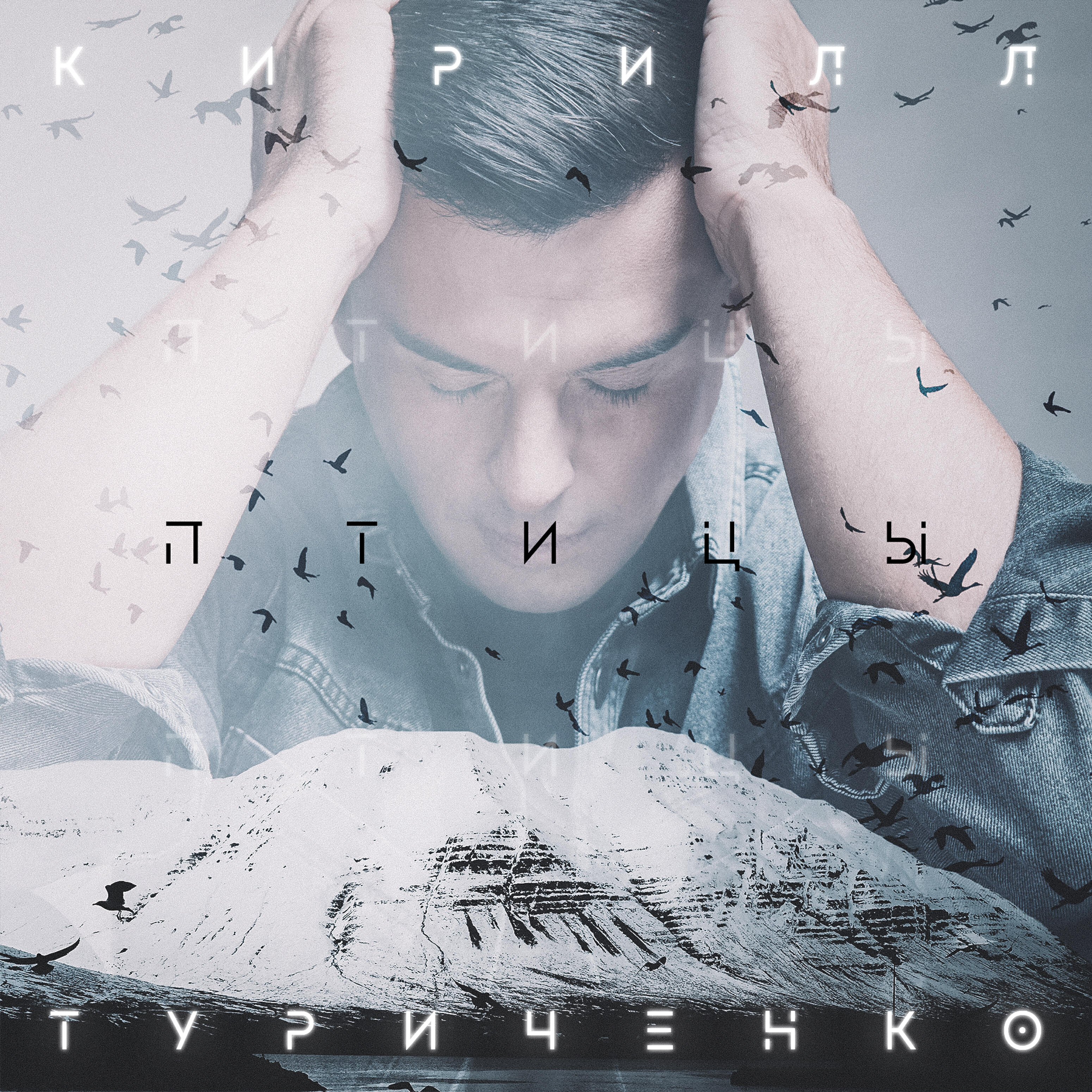 Релиз Птицы