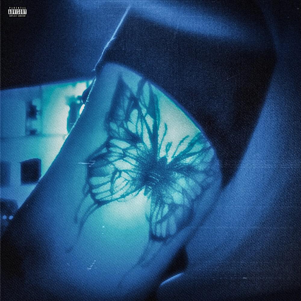Релиз BUTTERFLY