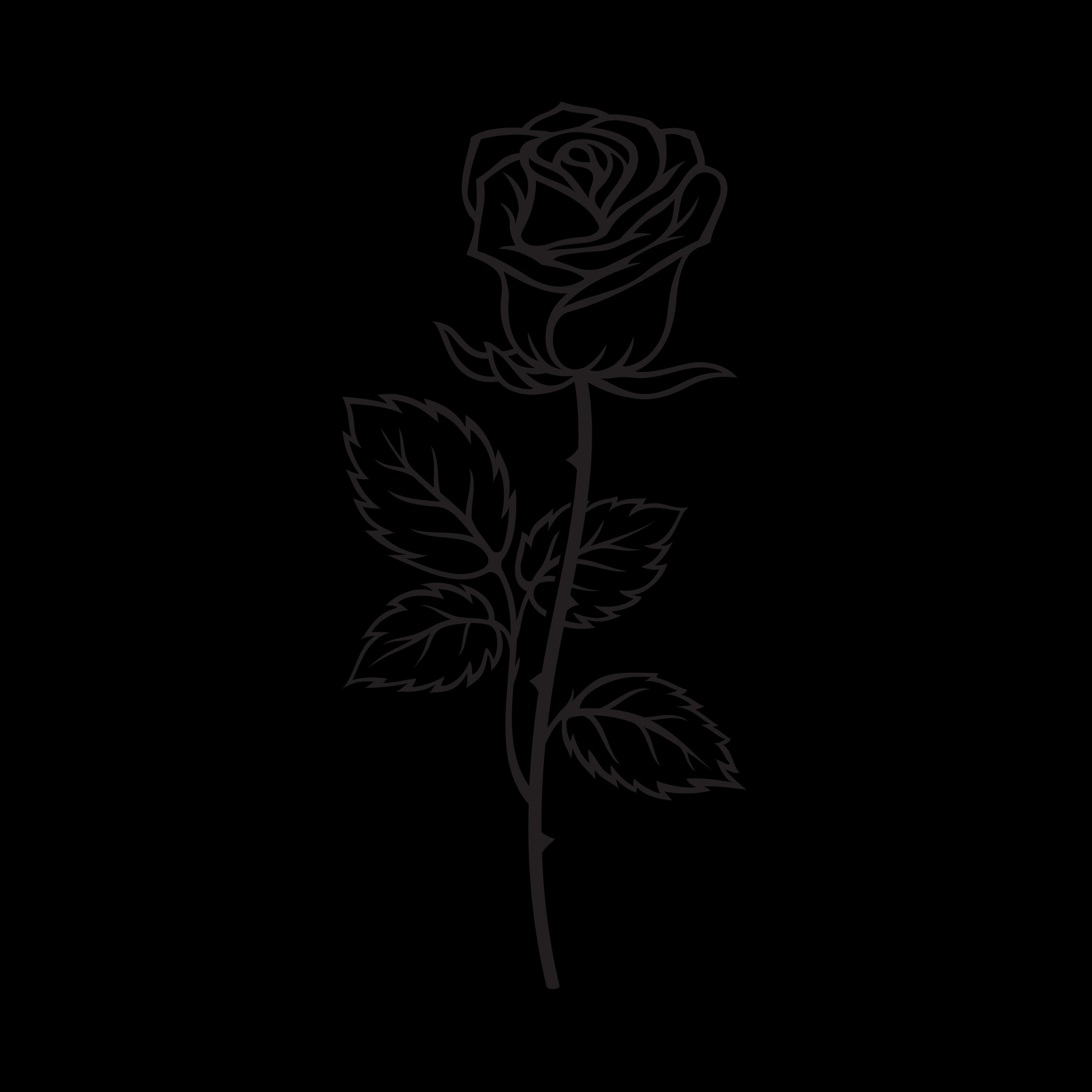 Релиз Rosa Negra