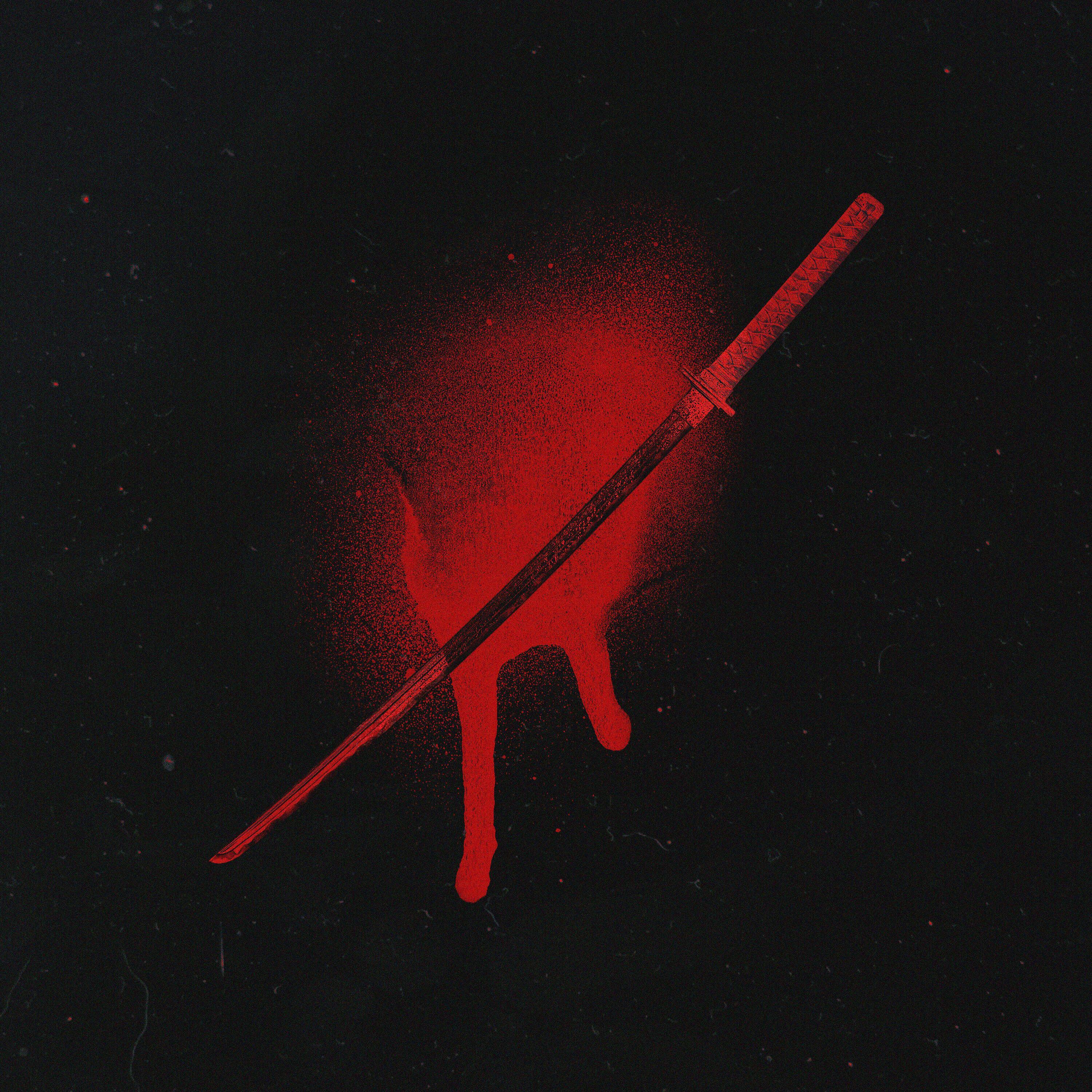 Релиз Akame ga kill