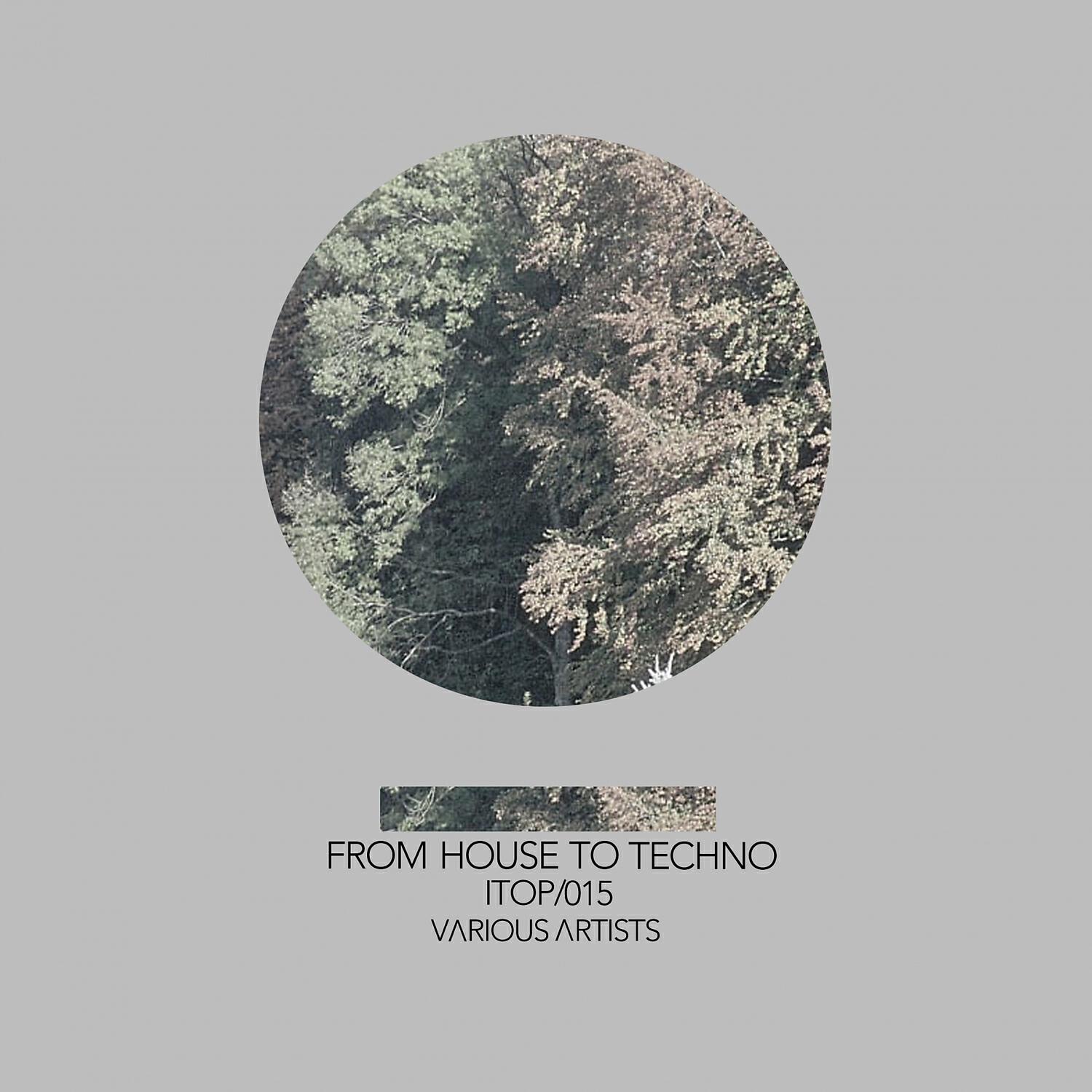 Релиз From House to Techno