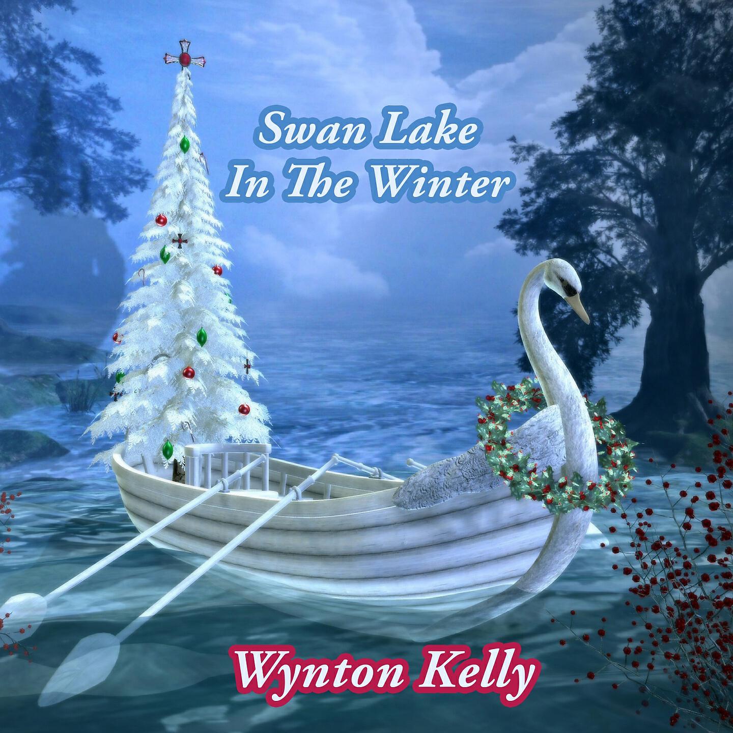 Релиз Swan Lake In The Winter