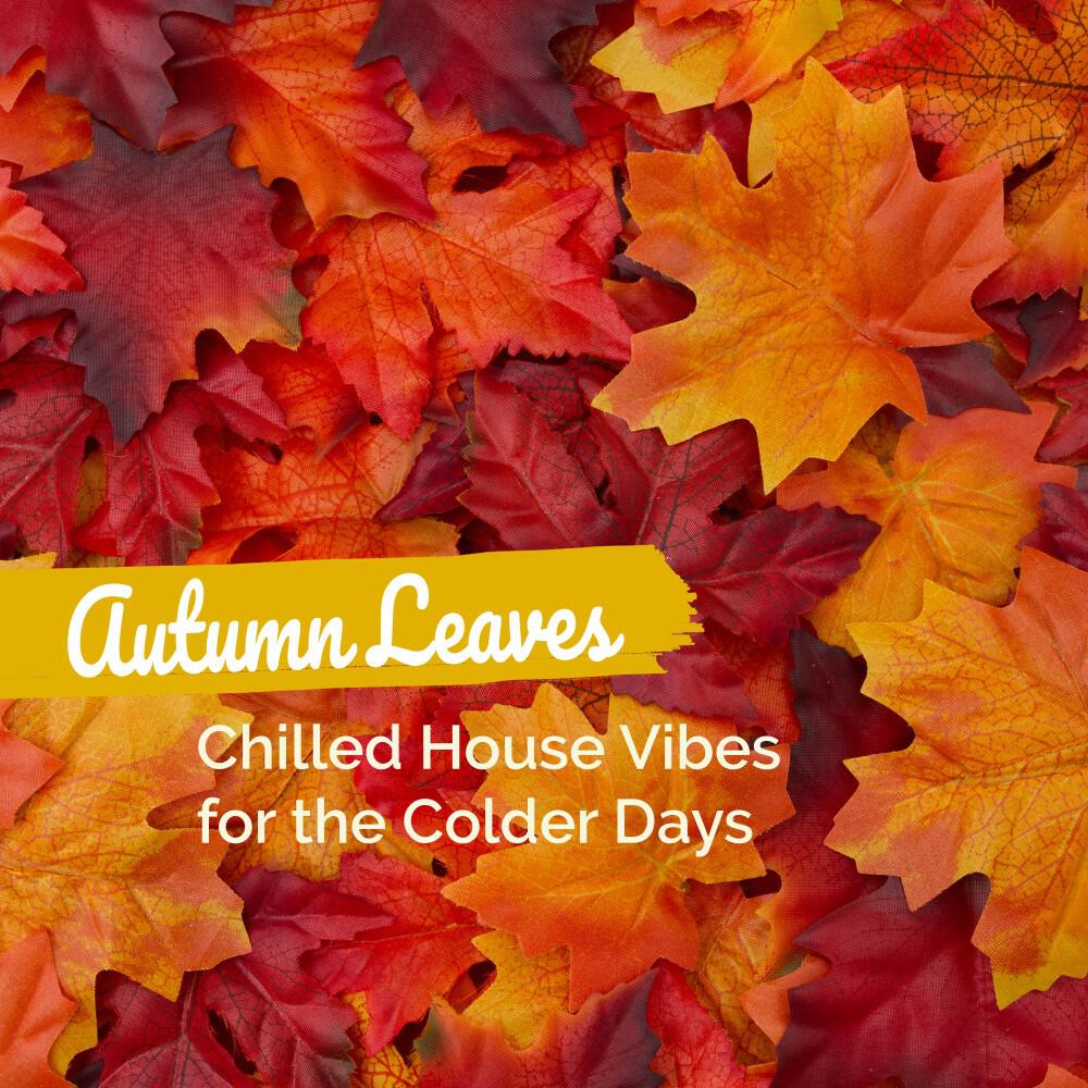 Релиз Autumn Leaves: Chilled House Vibes for the Colder Days