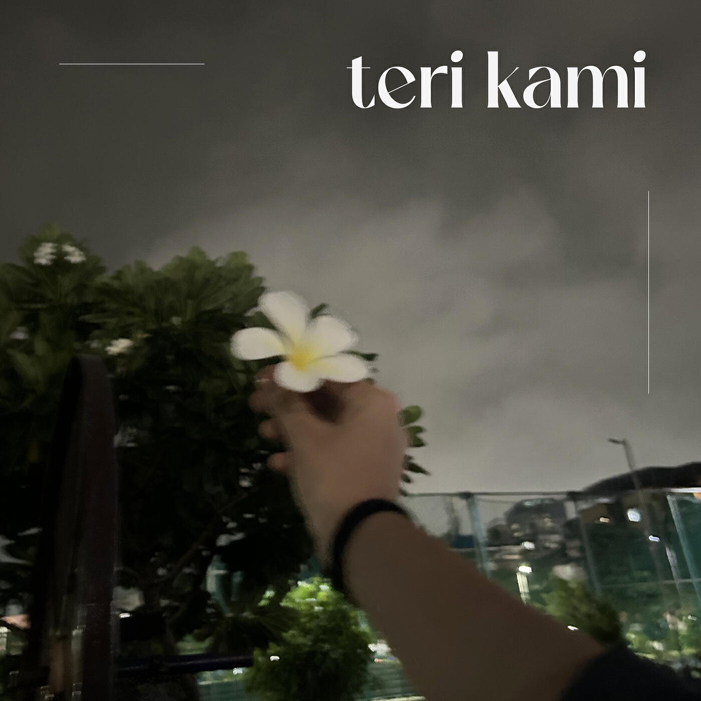 Релиз Teri Kami