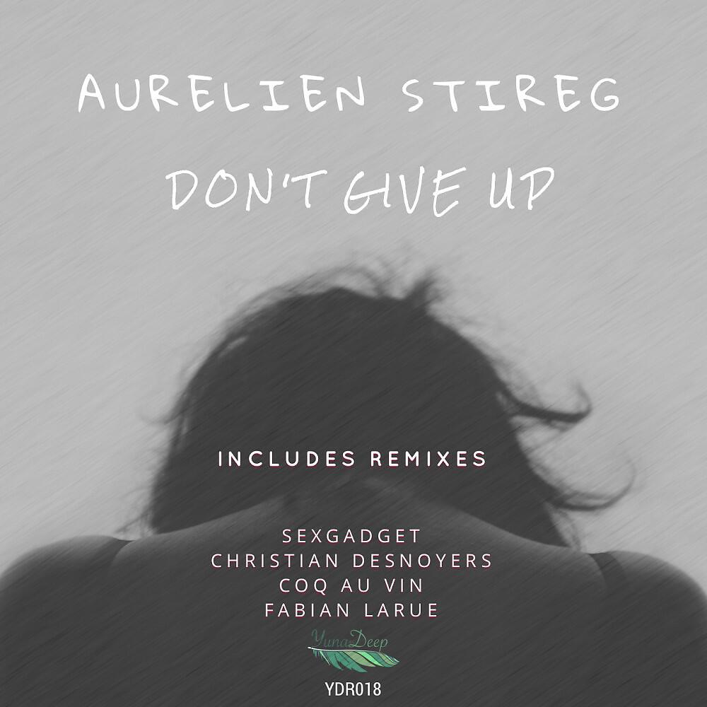 Релиз Don't Give Up