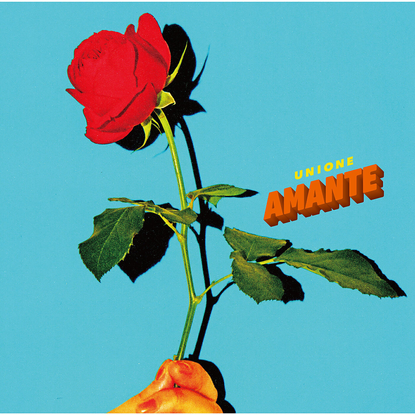 Релиз Amante Special Pack