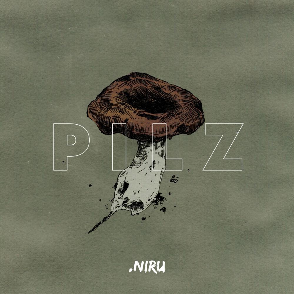 NIRU