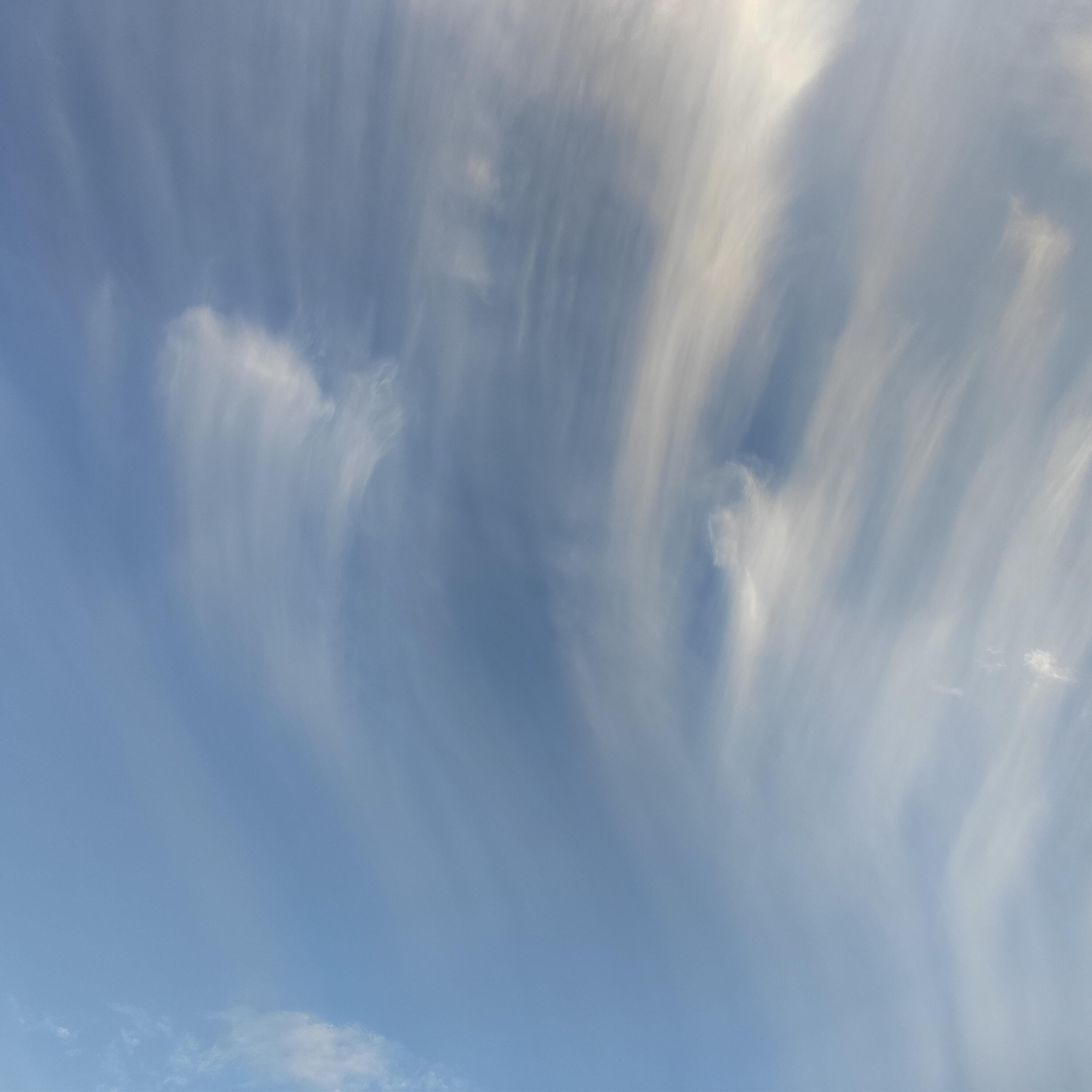 Релиз Забил