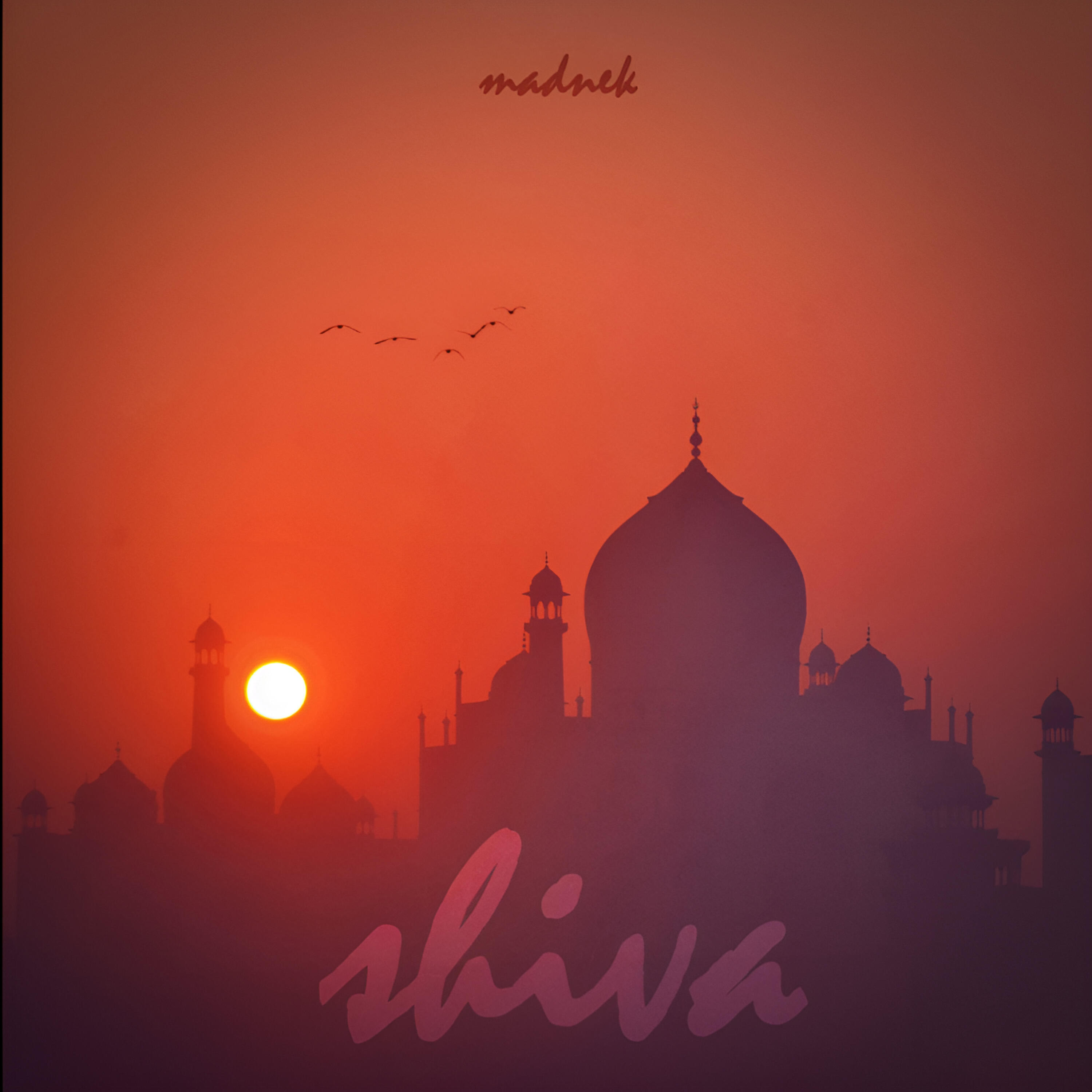 Релиз Shiva