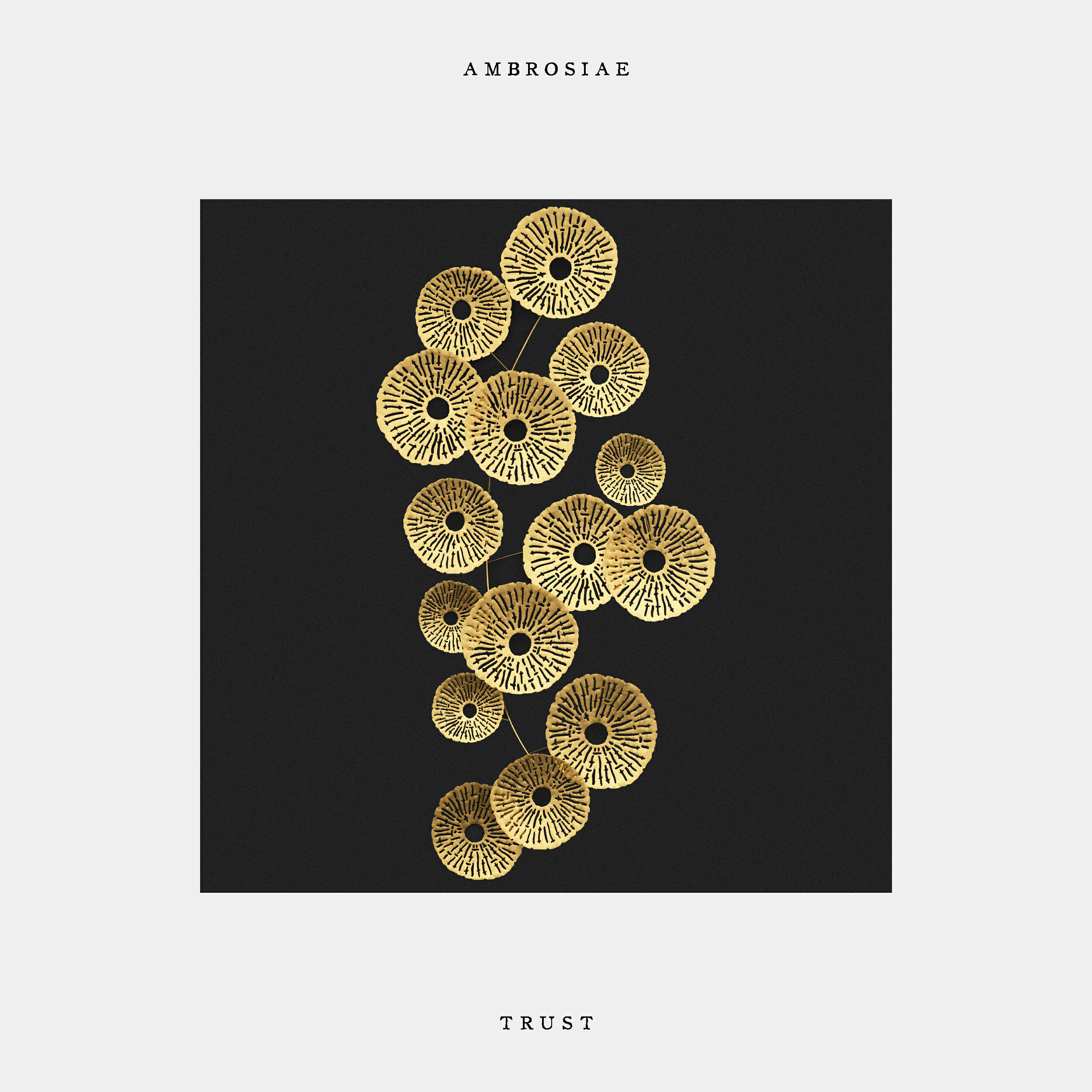 Релиз Trust