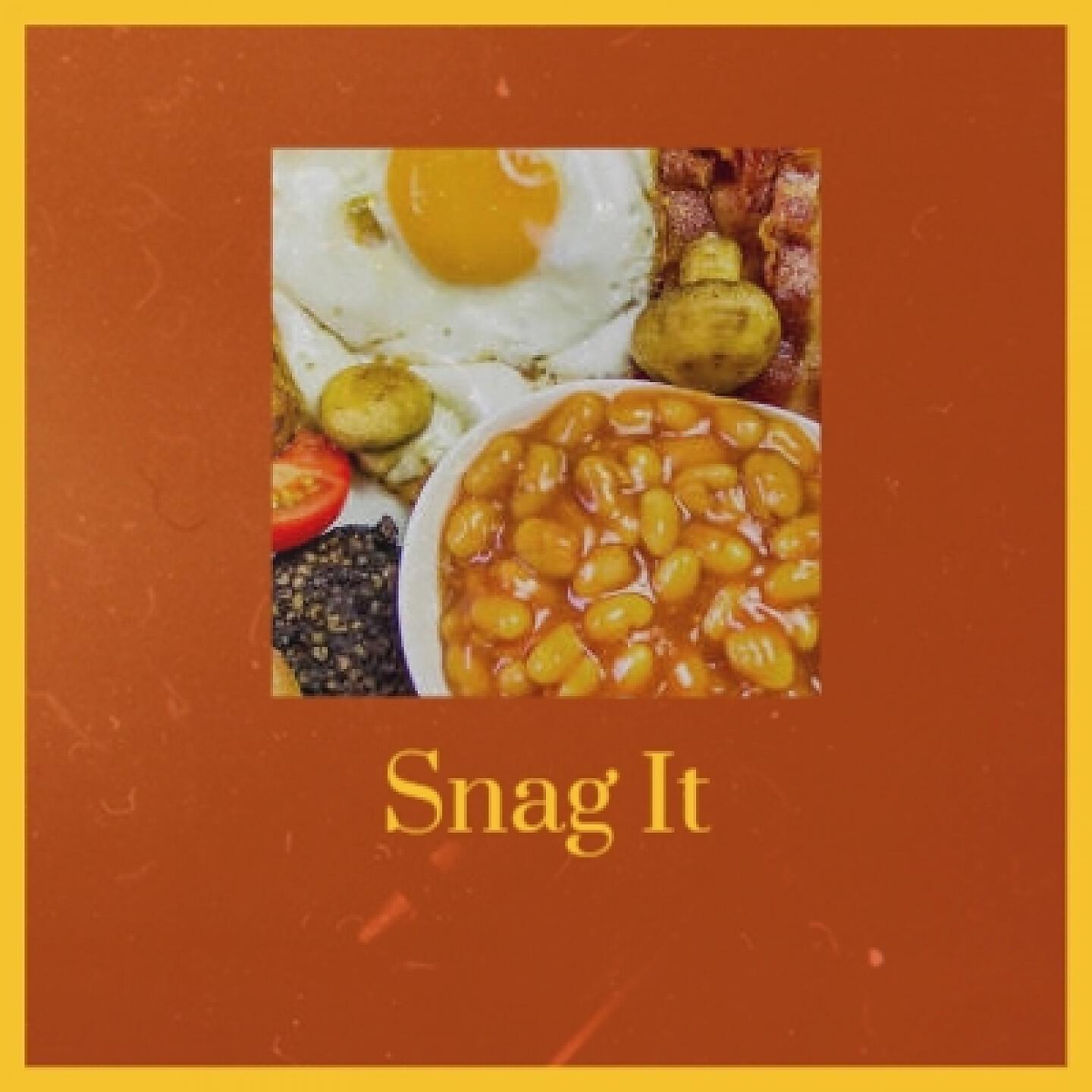 Постер альбома Snag It