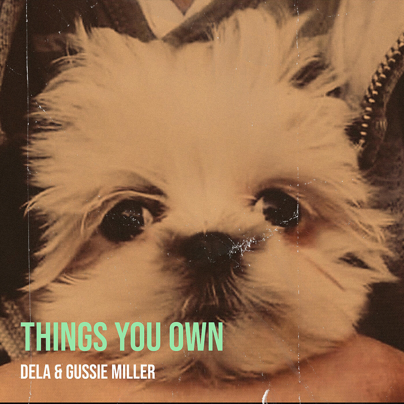 Релиз Things You Own