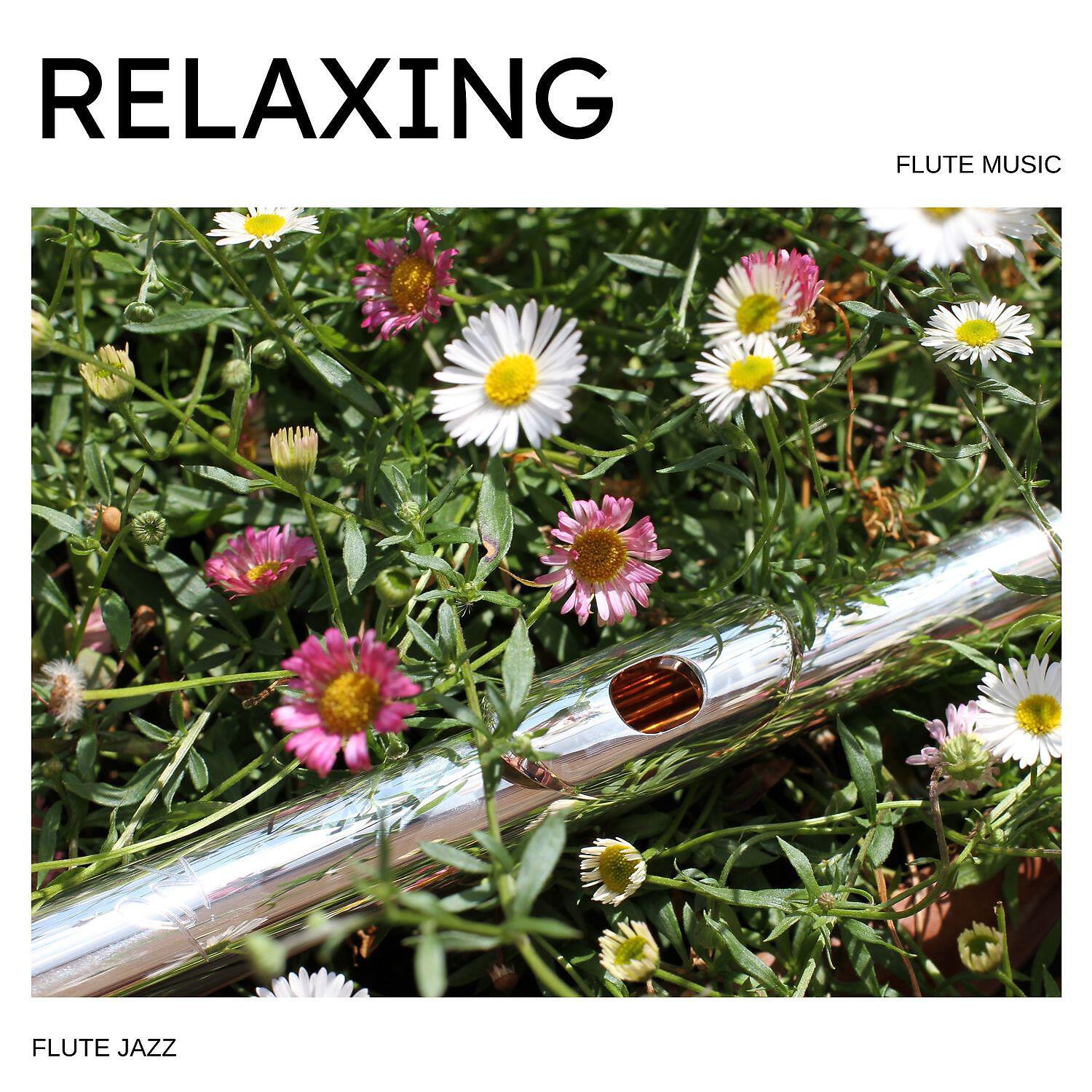 Постер альбома Relaxing Flute Music