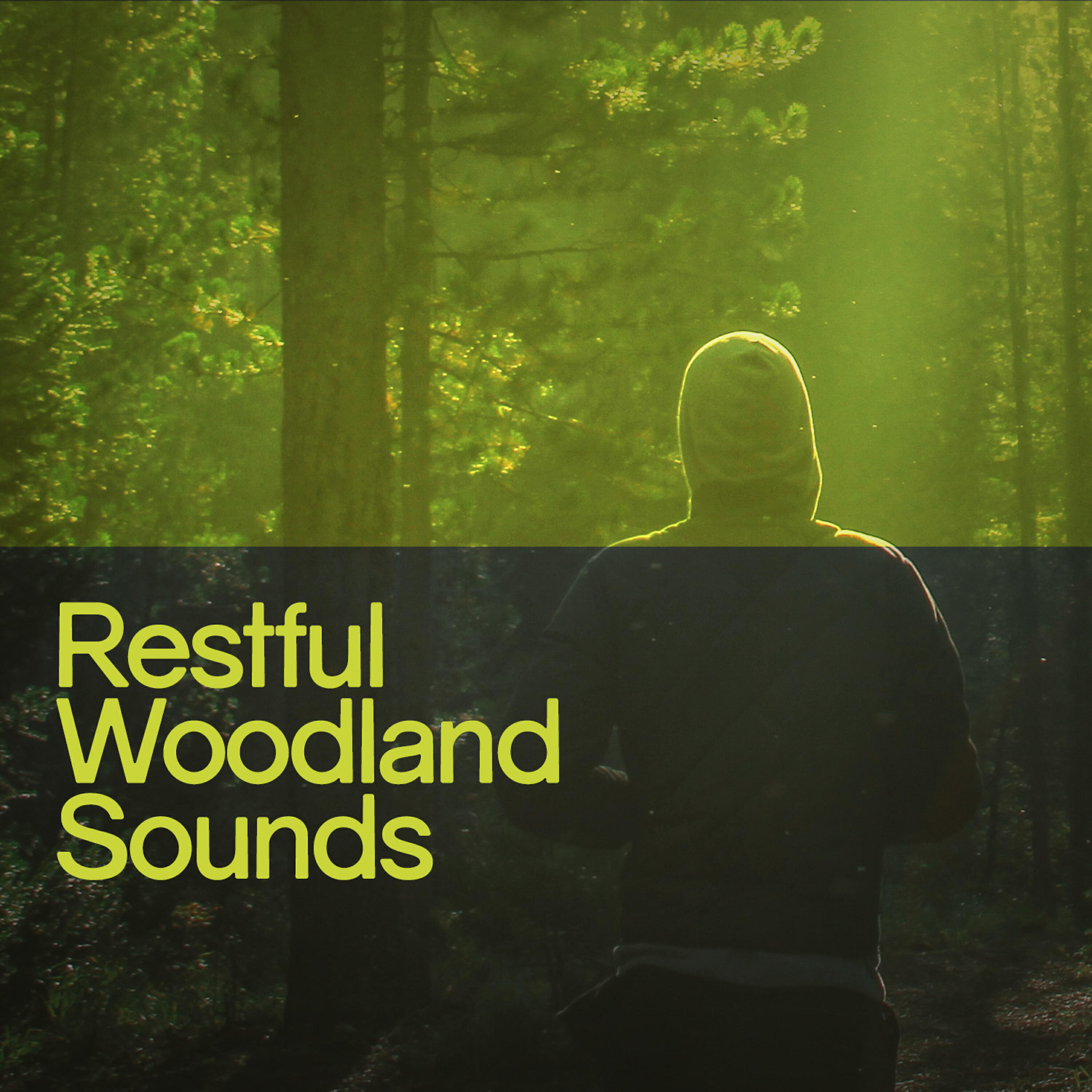 Релиз Restful Woodland Sounds
