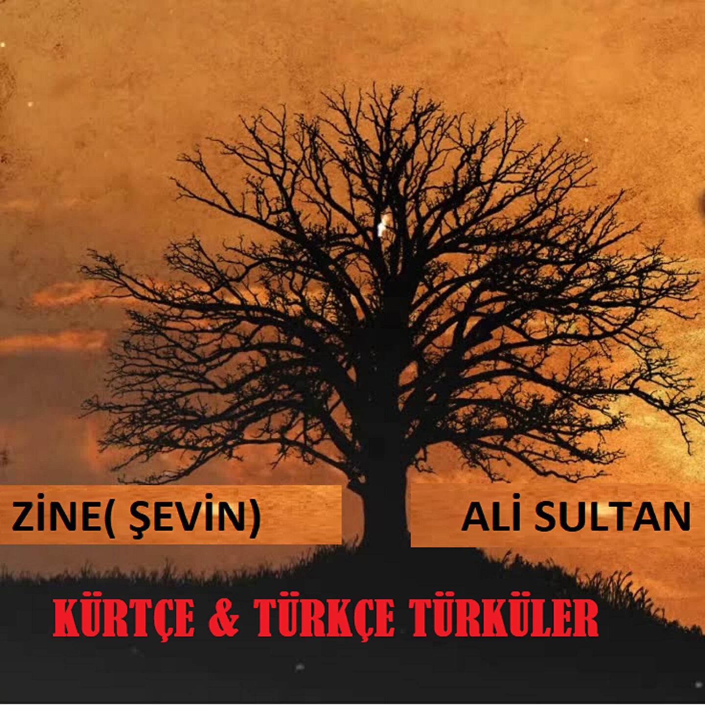 Релиз Azad'a Karışık Türküler