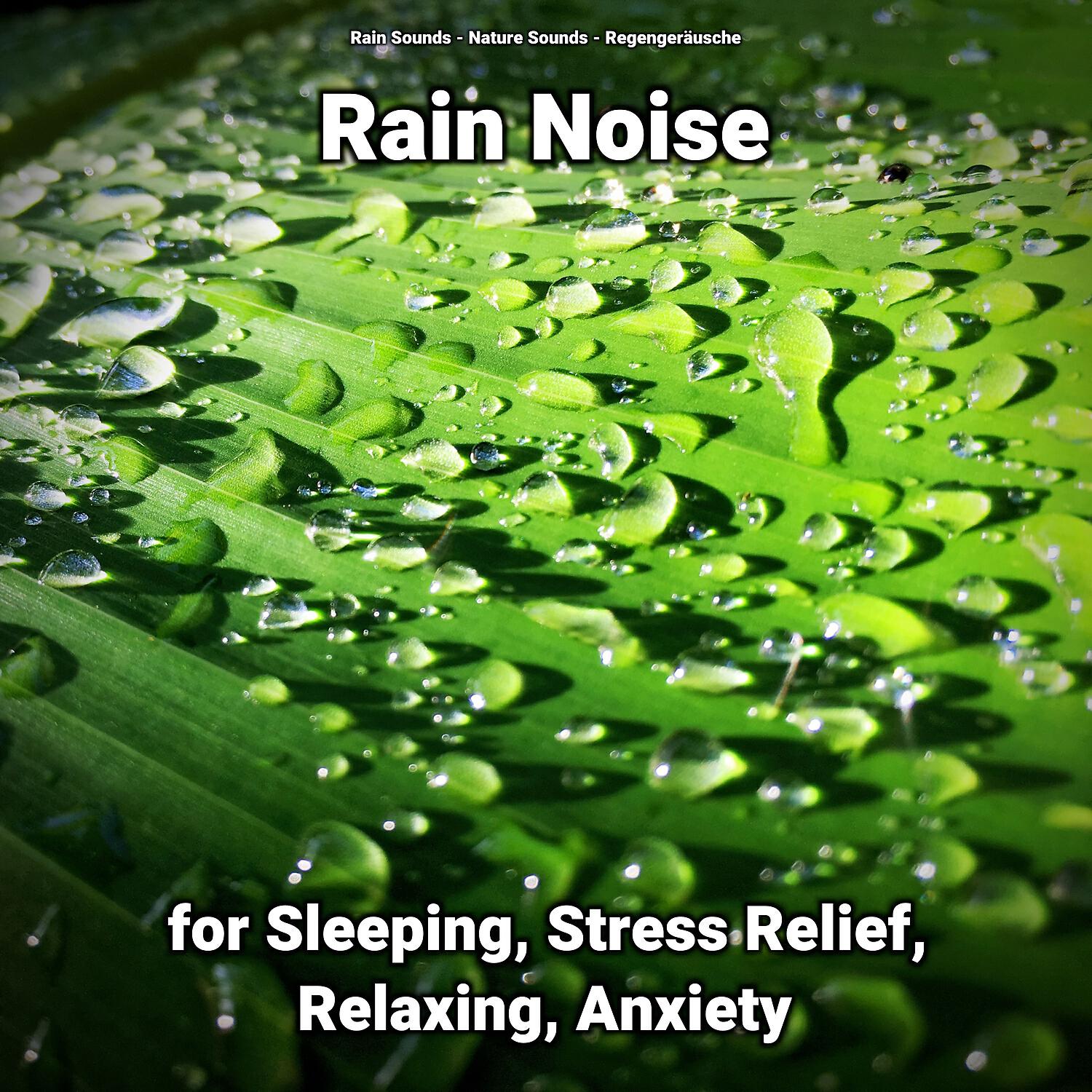 Релиз Rain Noise for Sleeping, Stress Relief, Relaxing, Anxiety