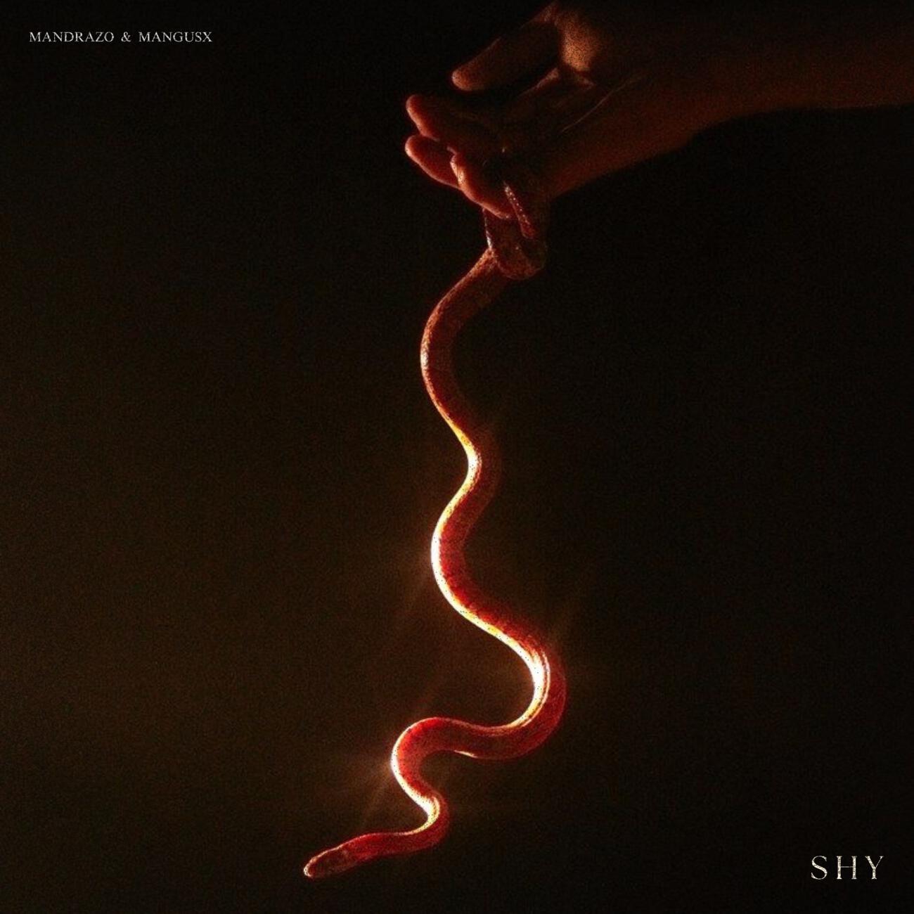 Релиз Shy