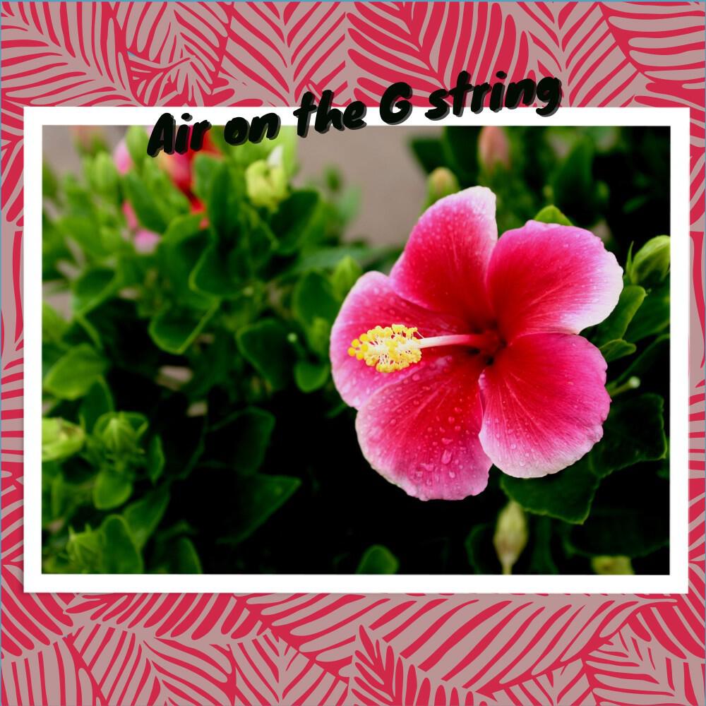 Релиз Air on the G String